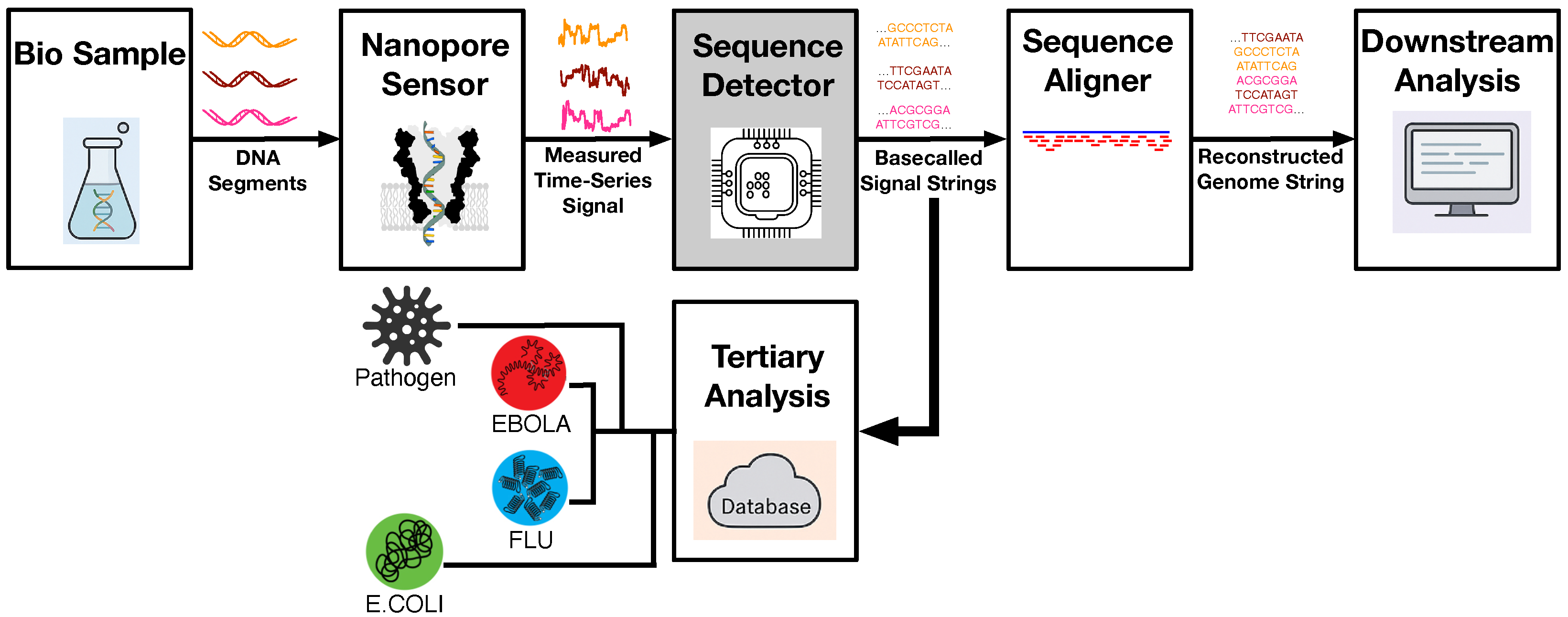 Biosensors 15 00569 g001