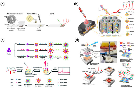 Biosensors 15 00573 g005