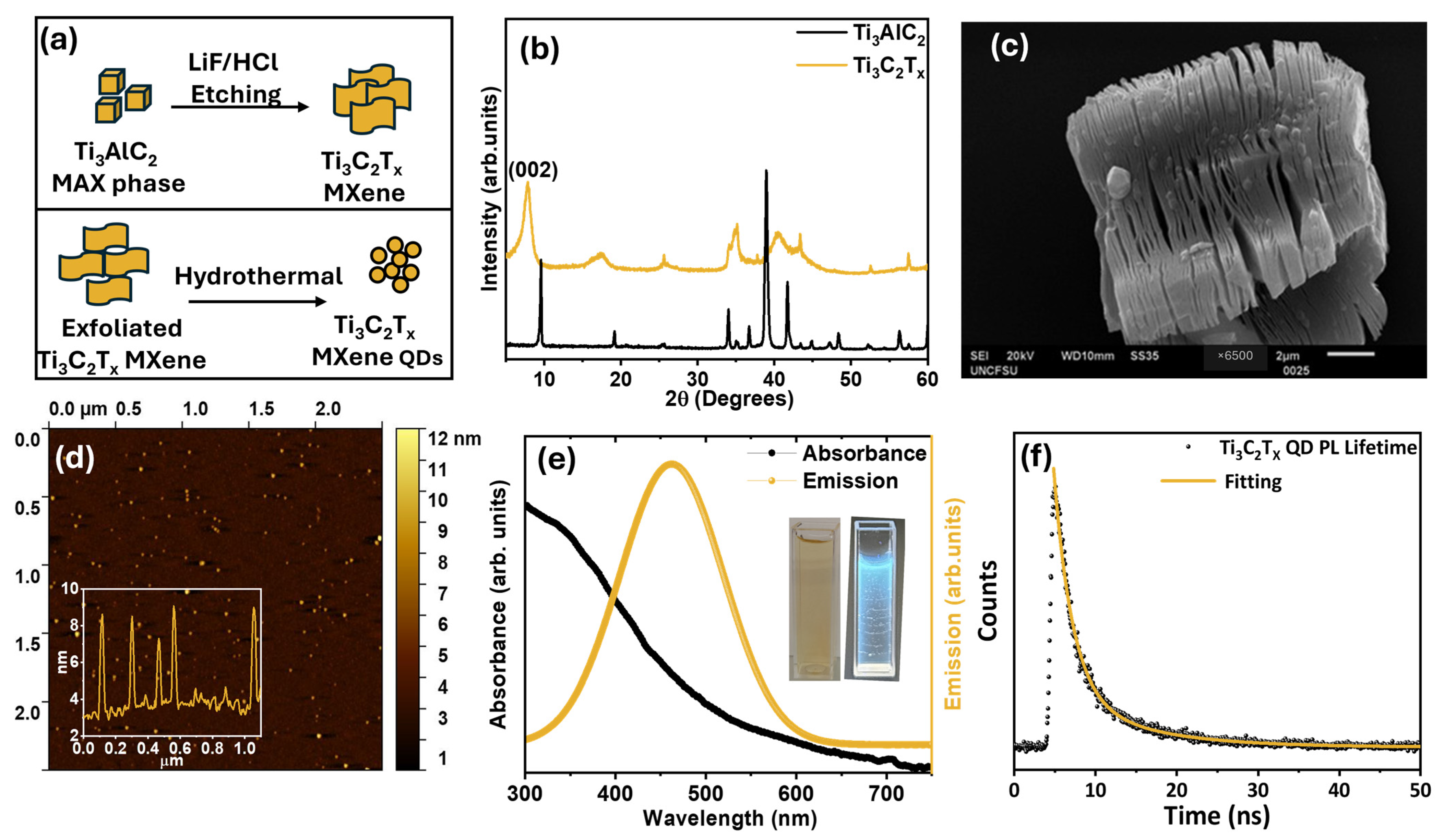 Biosensors 15 00575 g002
