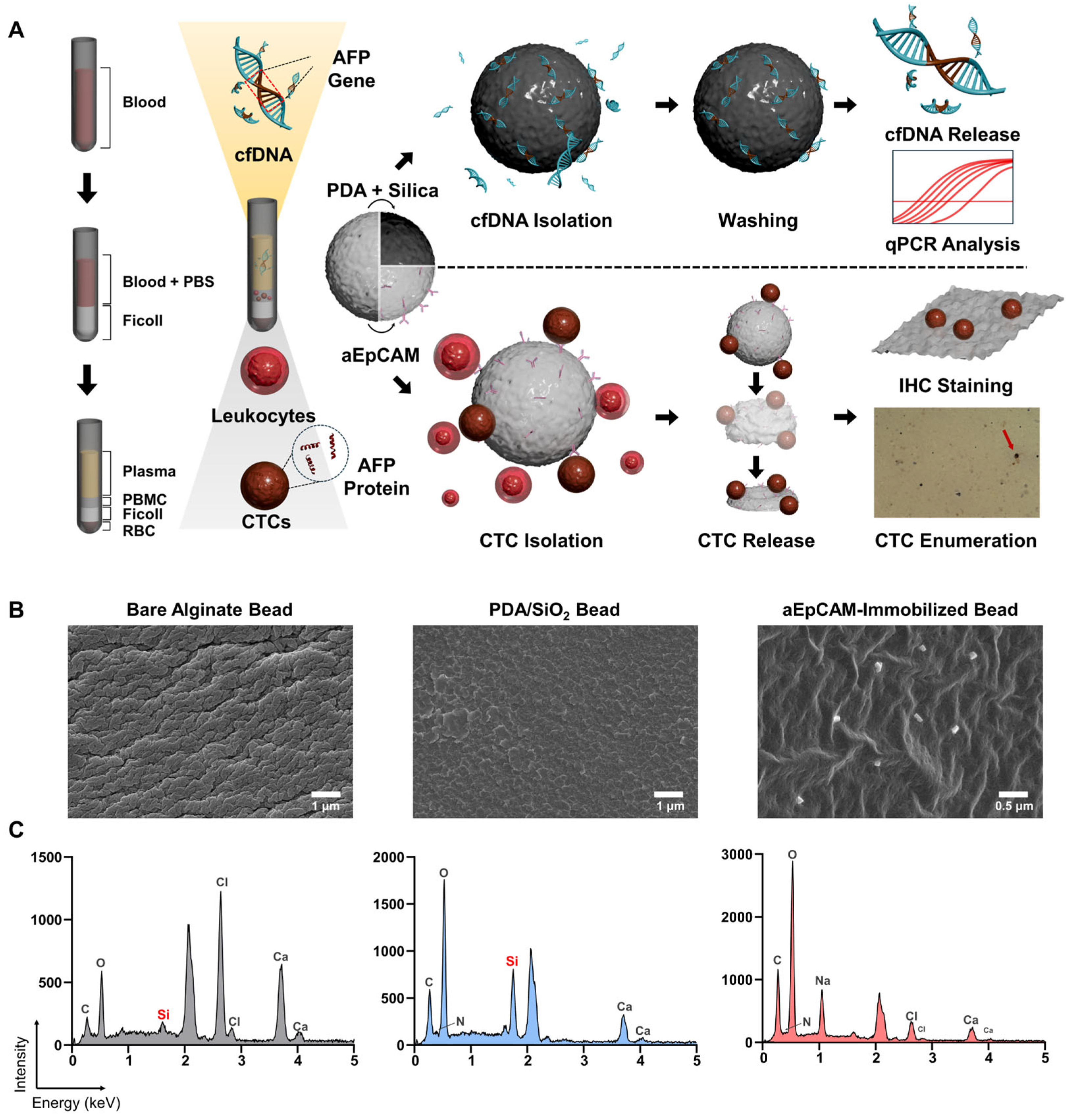 Biosensors 15 00579 g001
