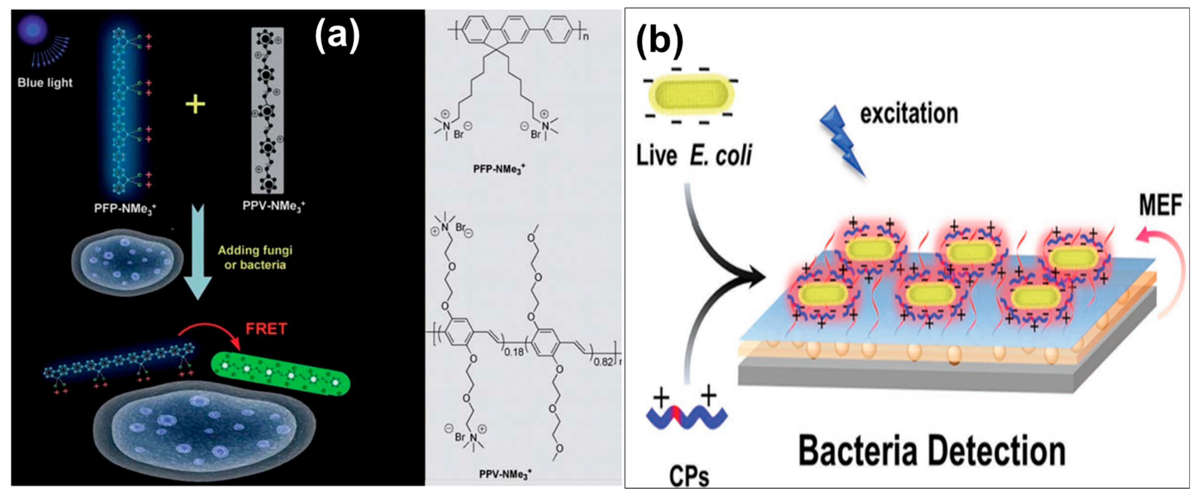 Biosensors 15 00580 g006