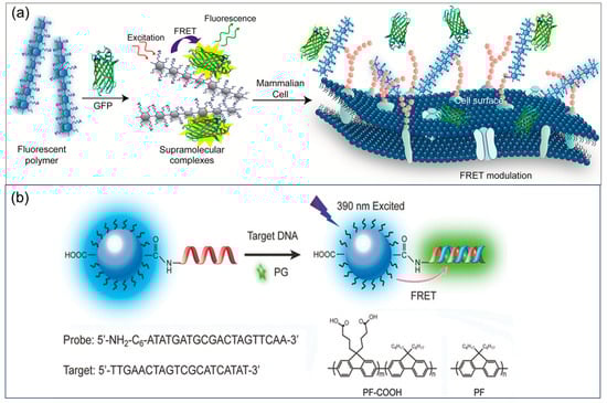 Biosensors 15 00580 g007