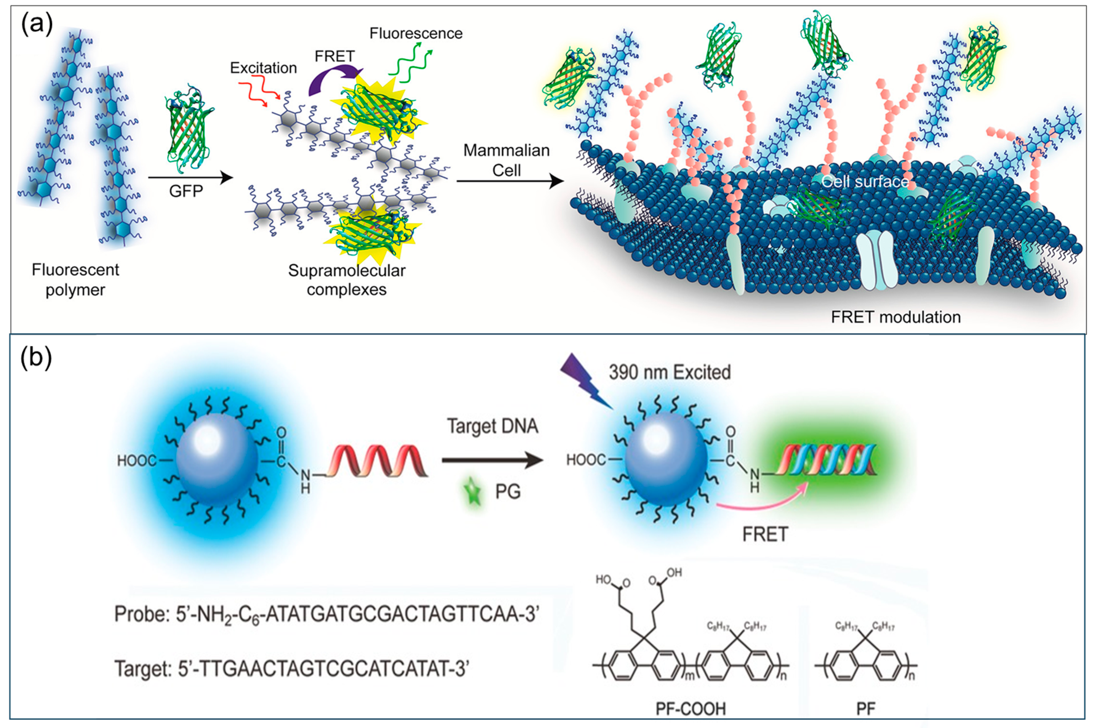 Biosensors 15 00580 g007