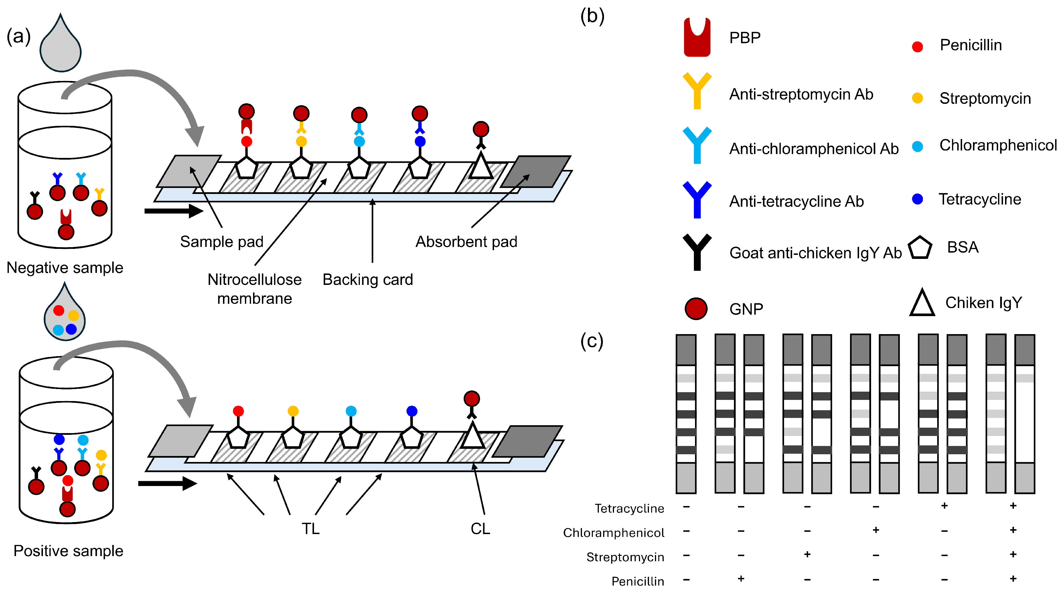 Biosensors 15 00592 g001 Biosensors 15 00592 g001