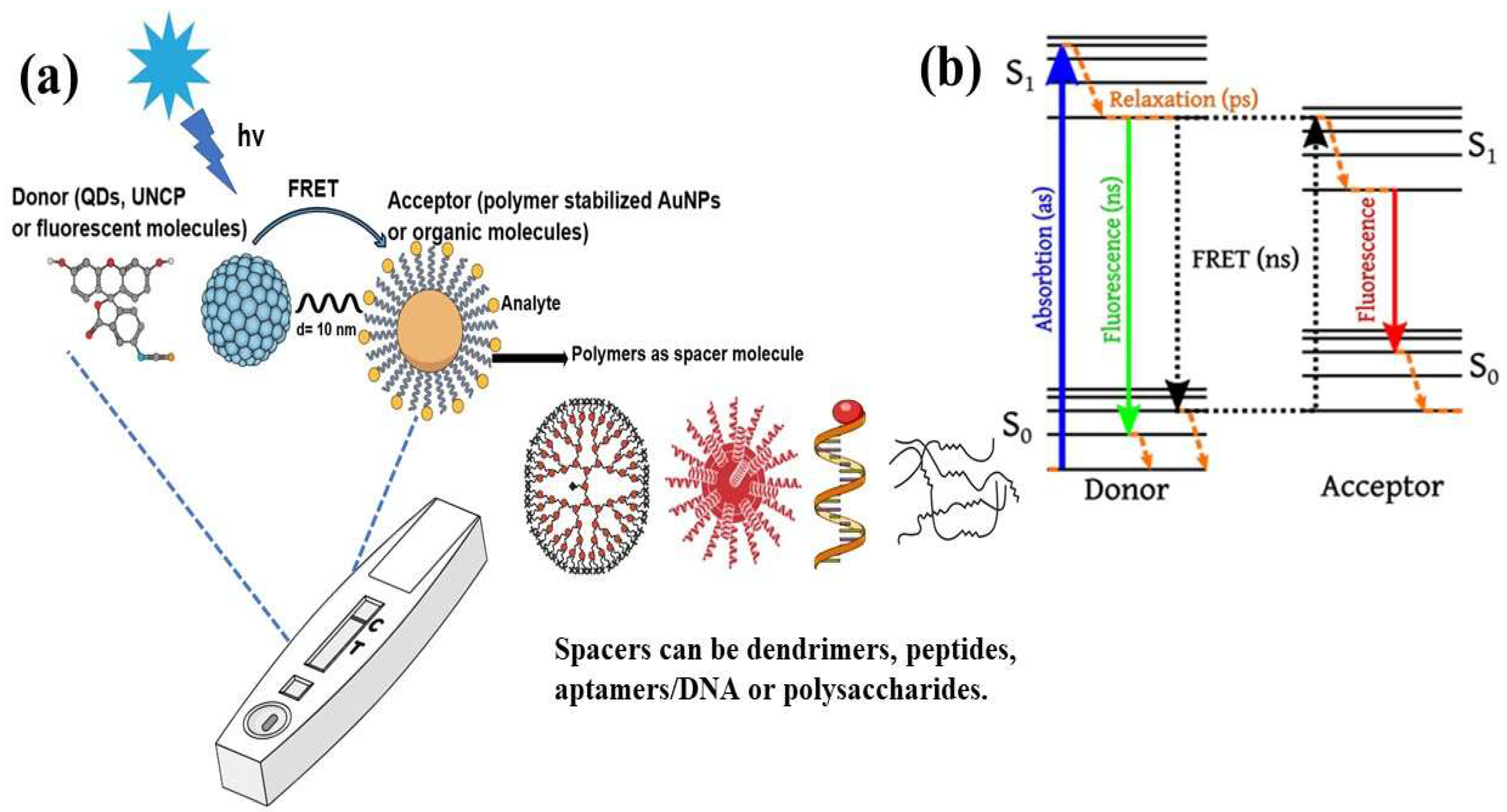 Biosensors 15 00593 g001