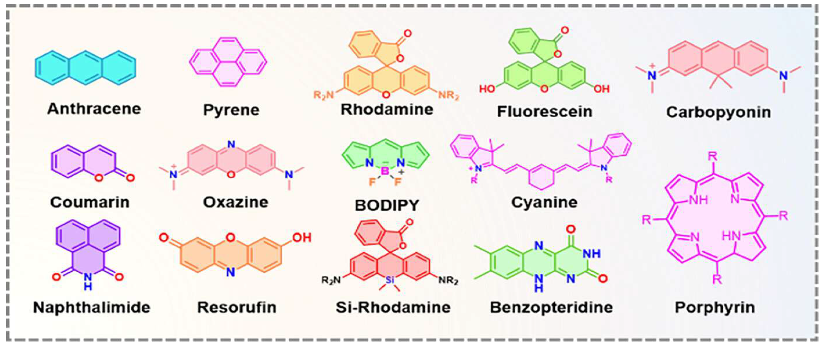 Biosensors 15 00593 g002
