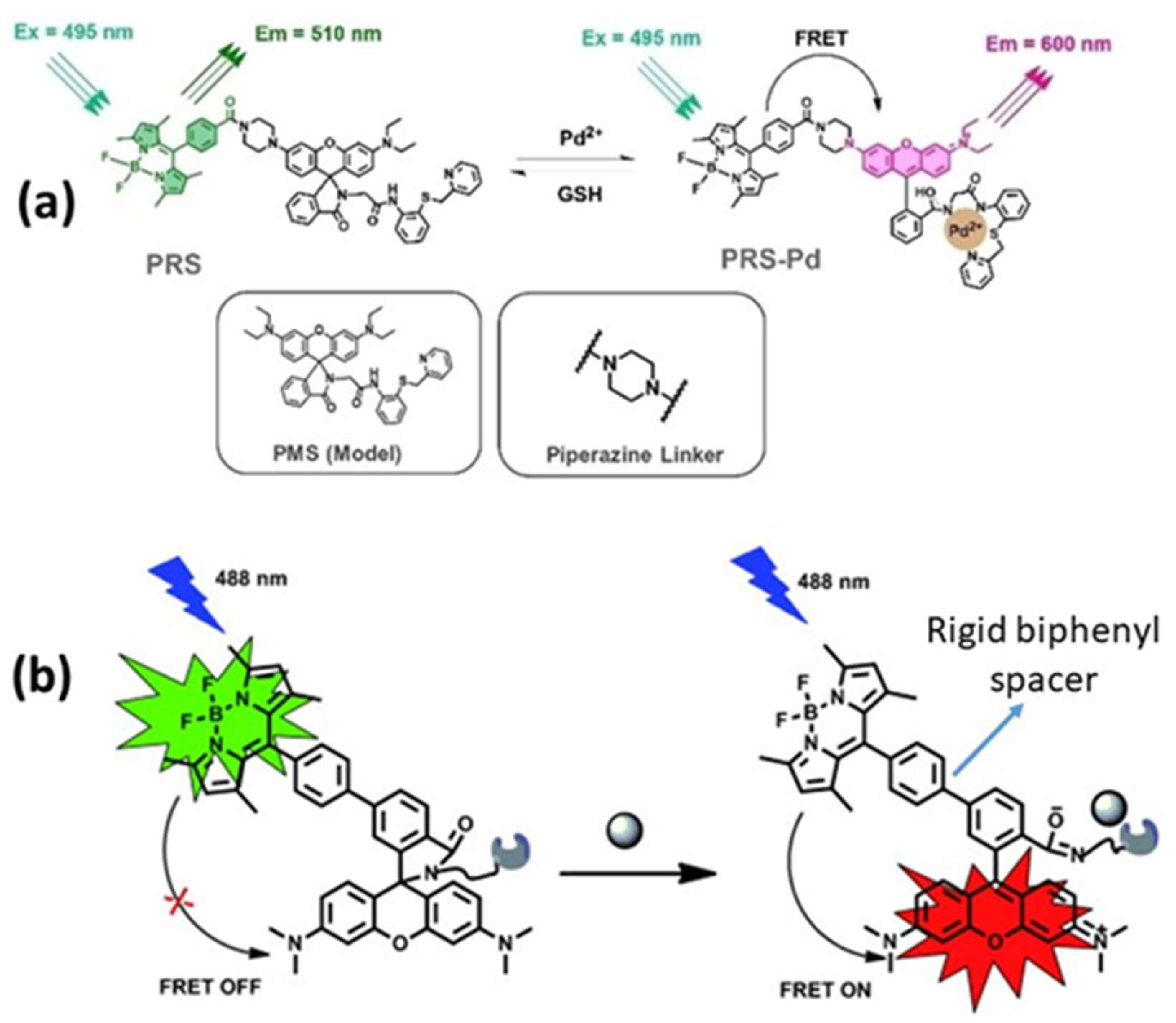 Biosensors 15 00593 g005