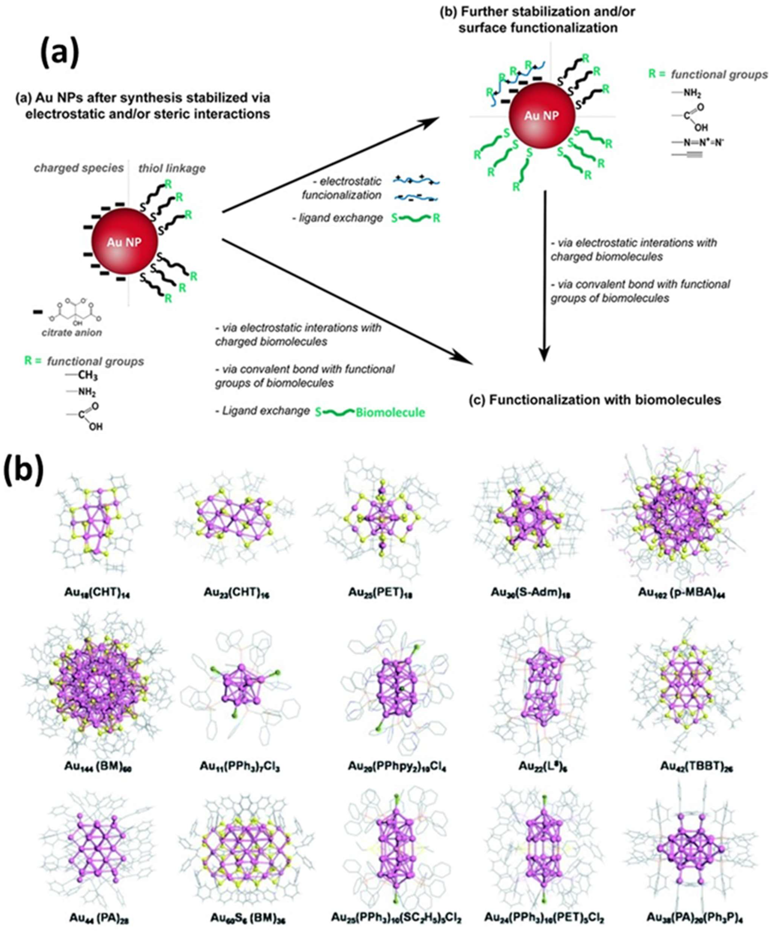 Biosensors 15 00593 g007