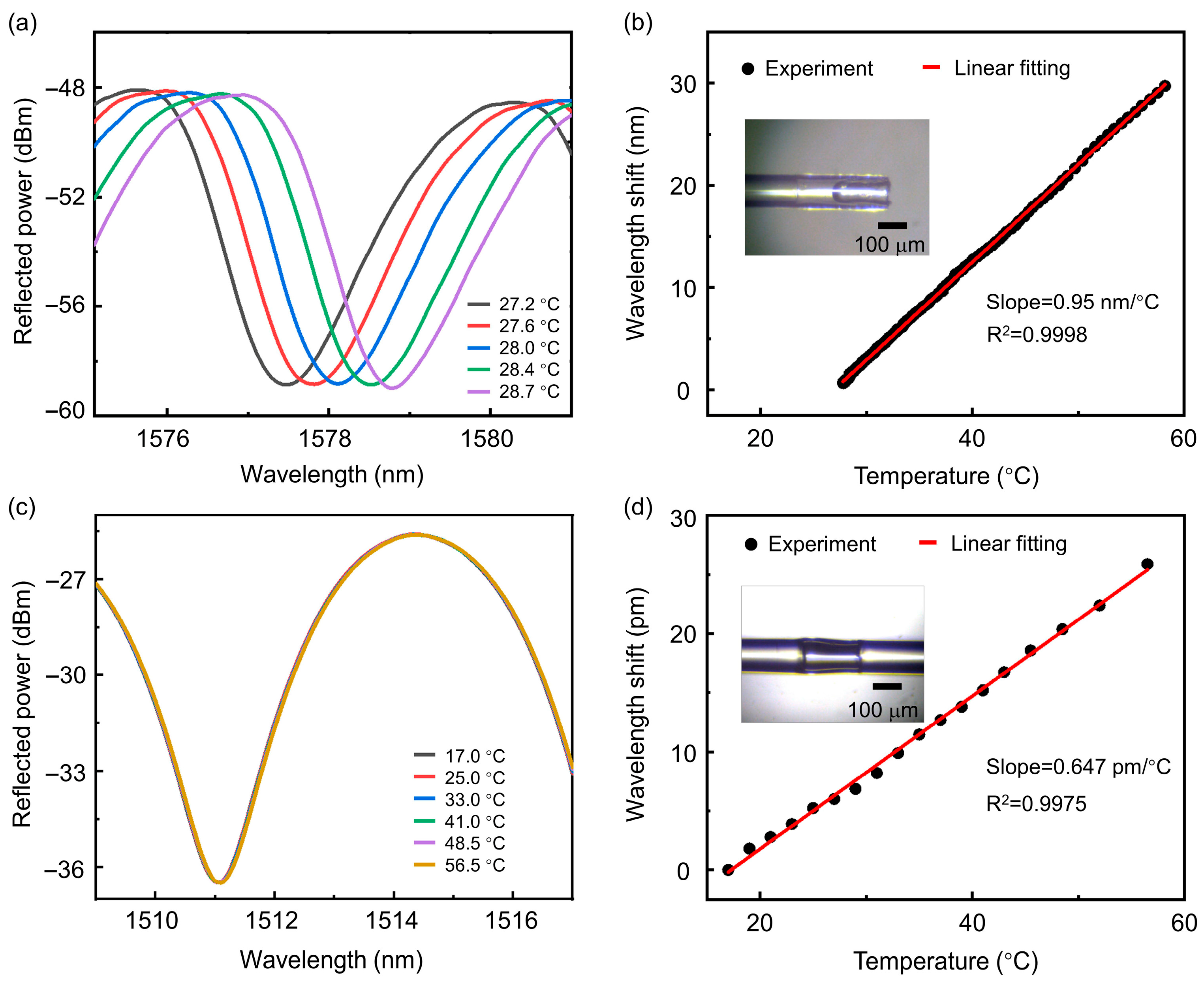 Biosensors 15 00602 g002 Biosensors 15 00602 g002