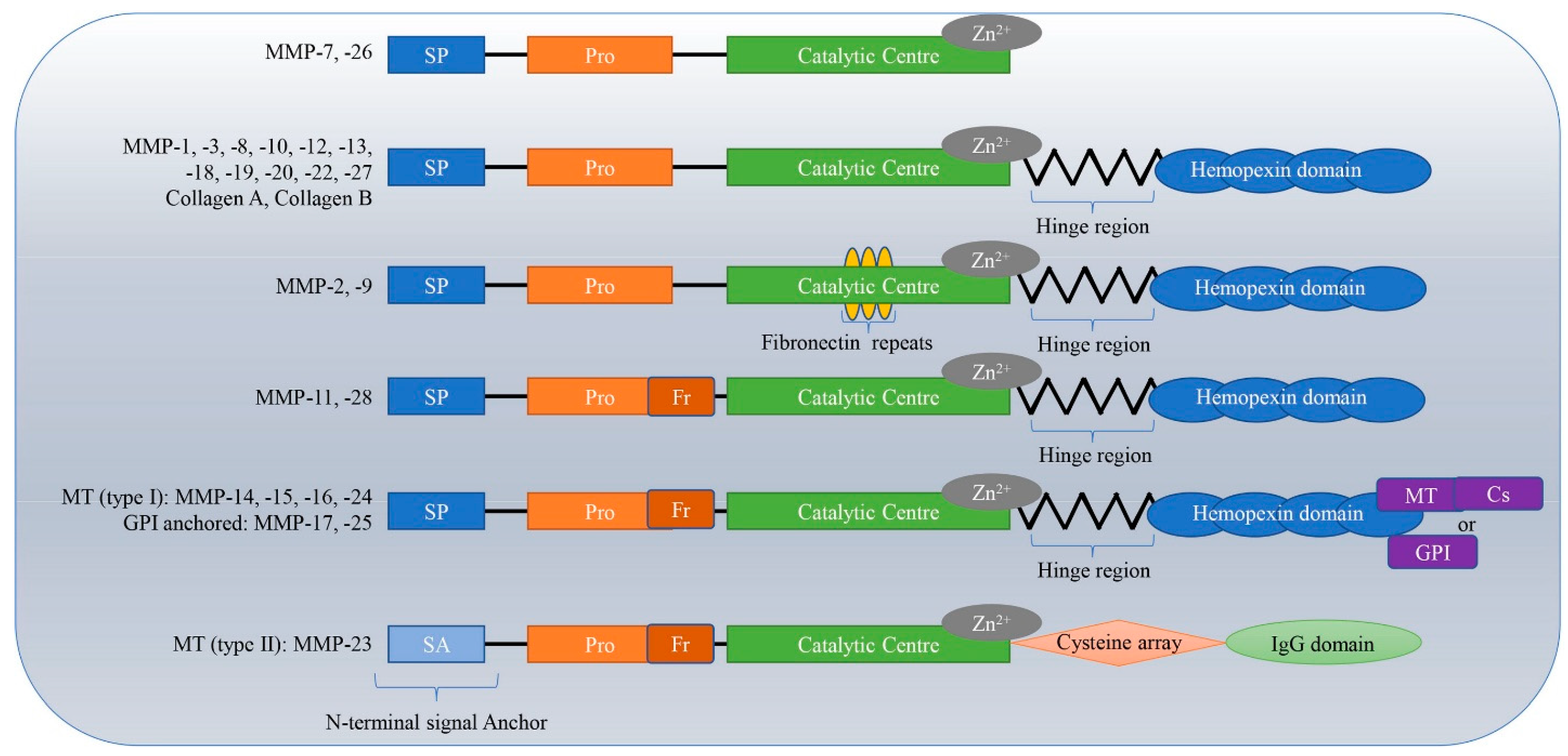 Biosensors 15 00603 g001