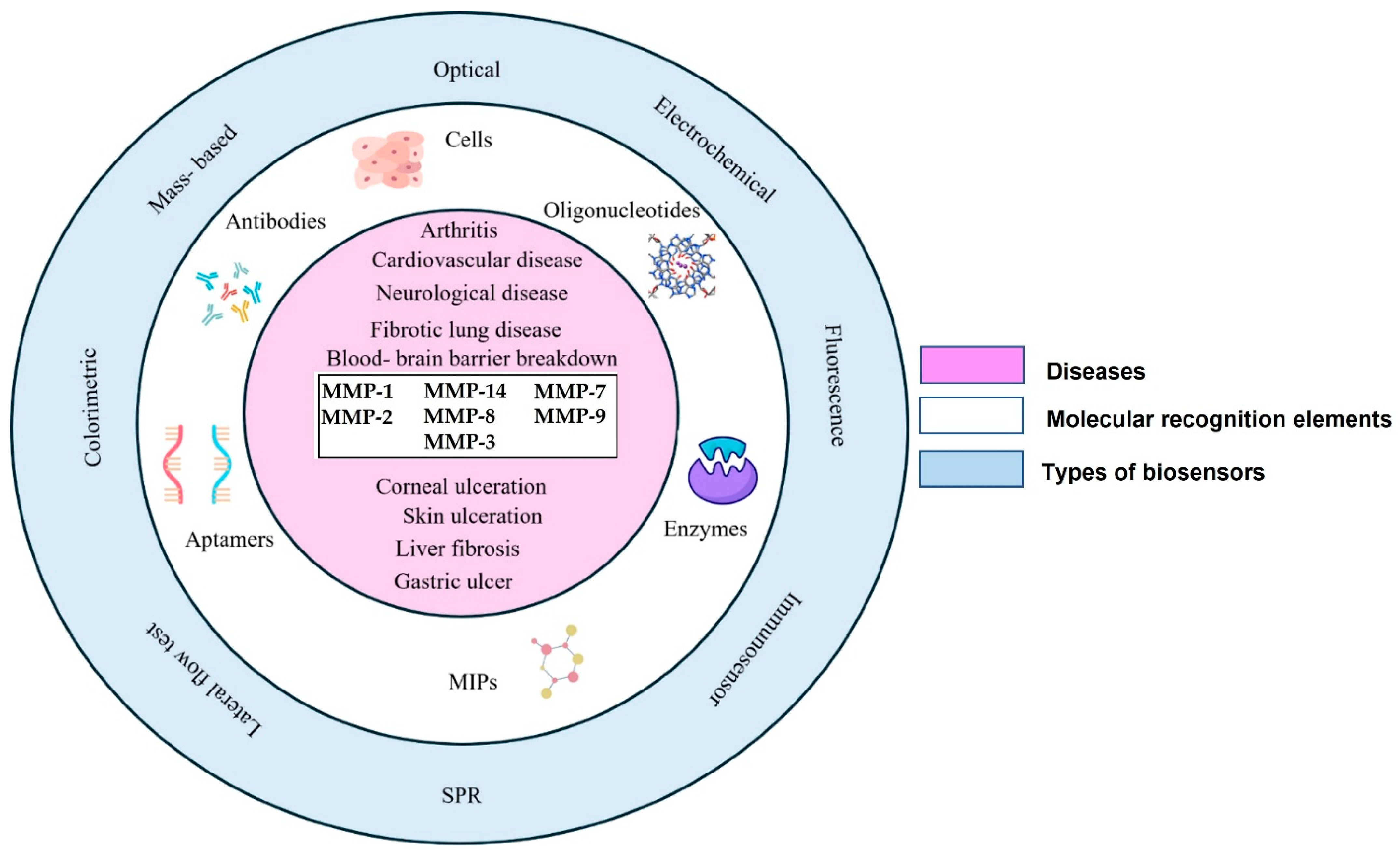 Biosensors 15 00603 g002