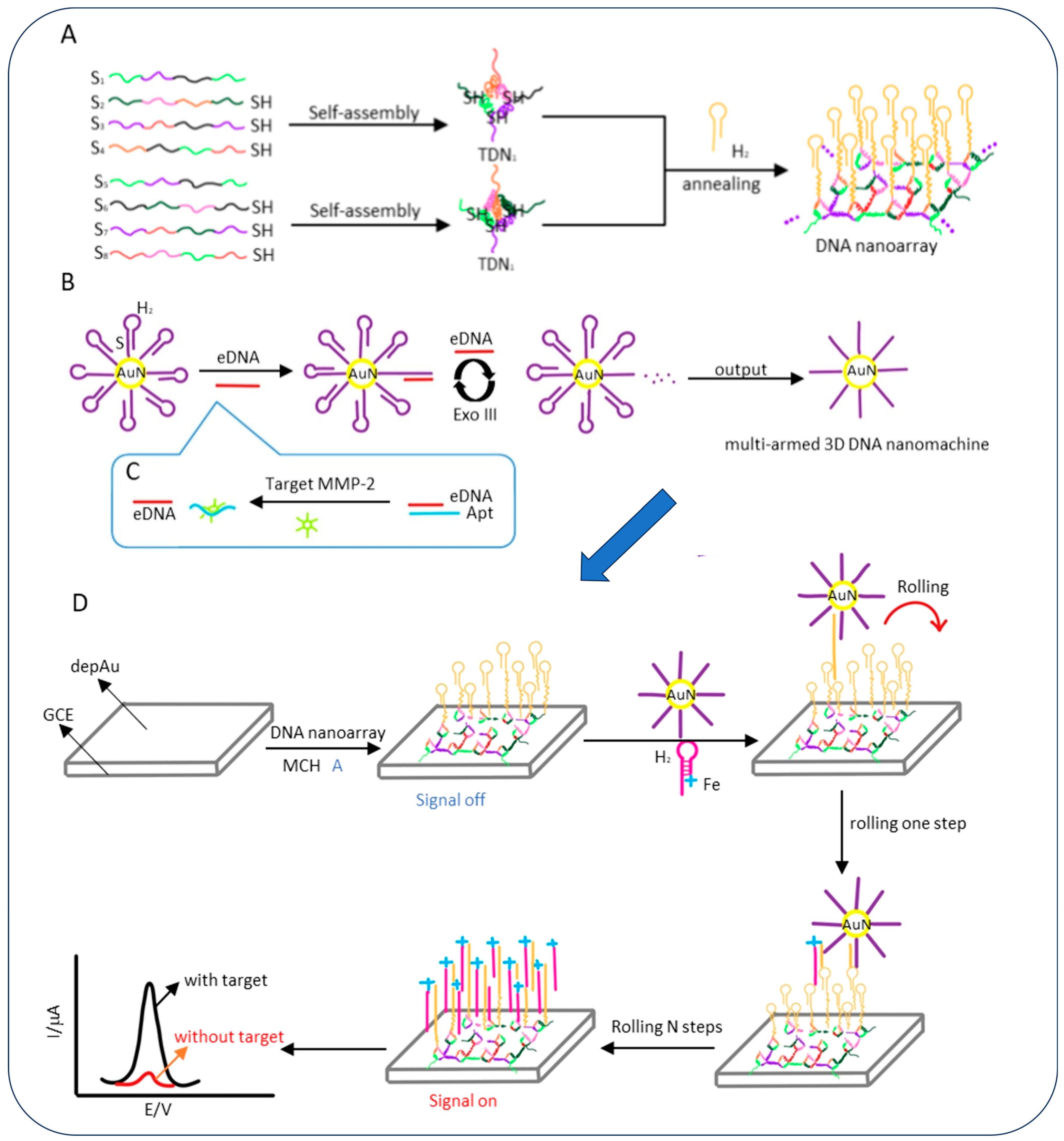 Biosensors 15 00603 g004