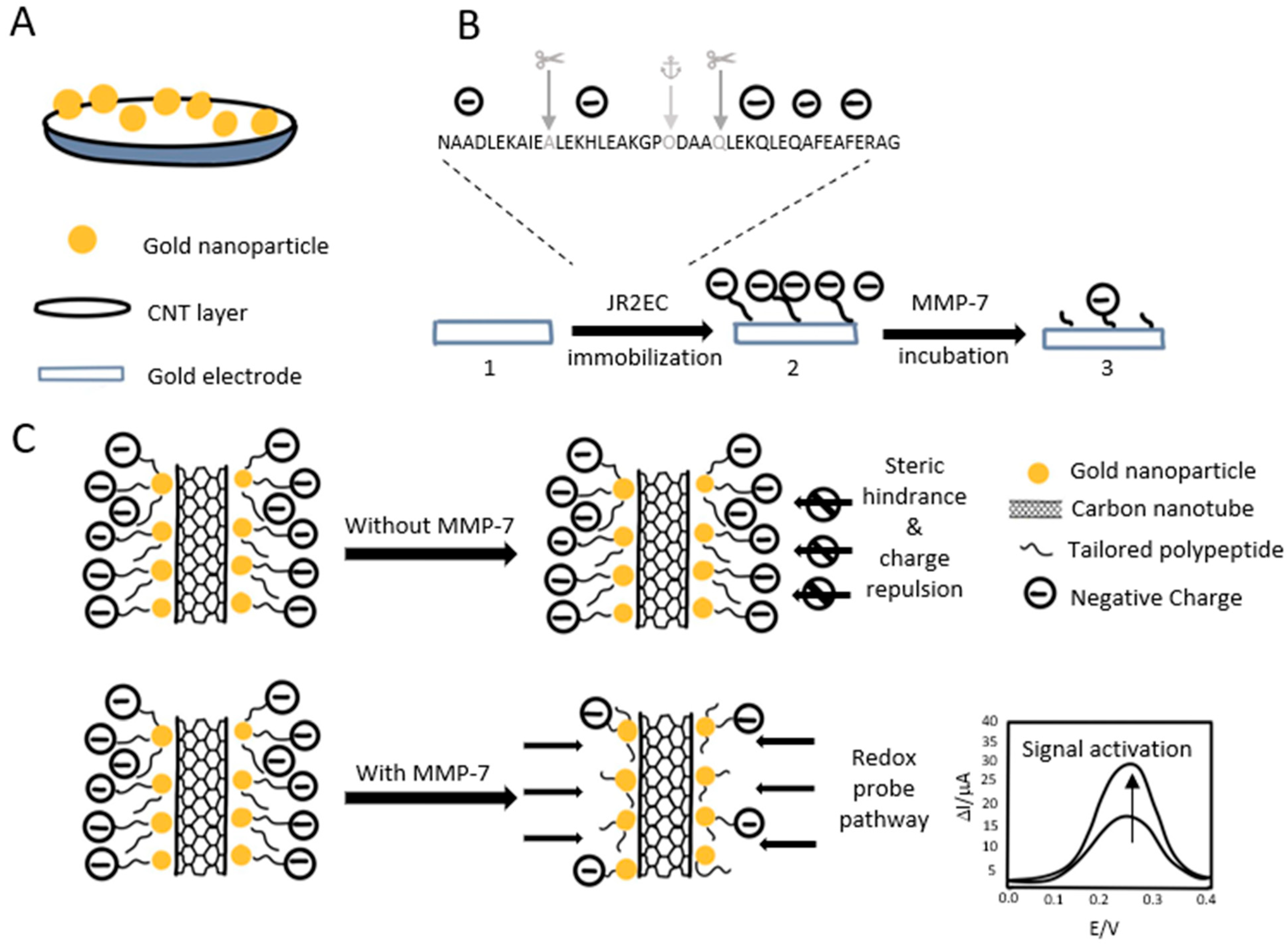 Biosensors 15 00603 g006