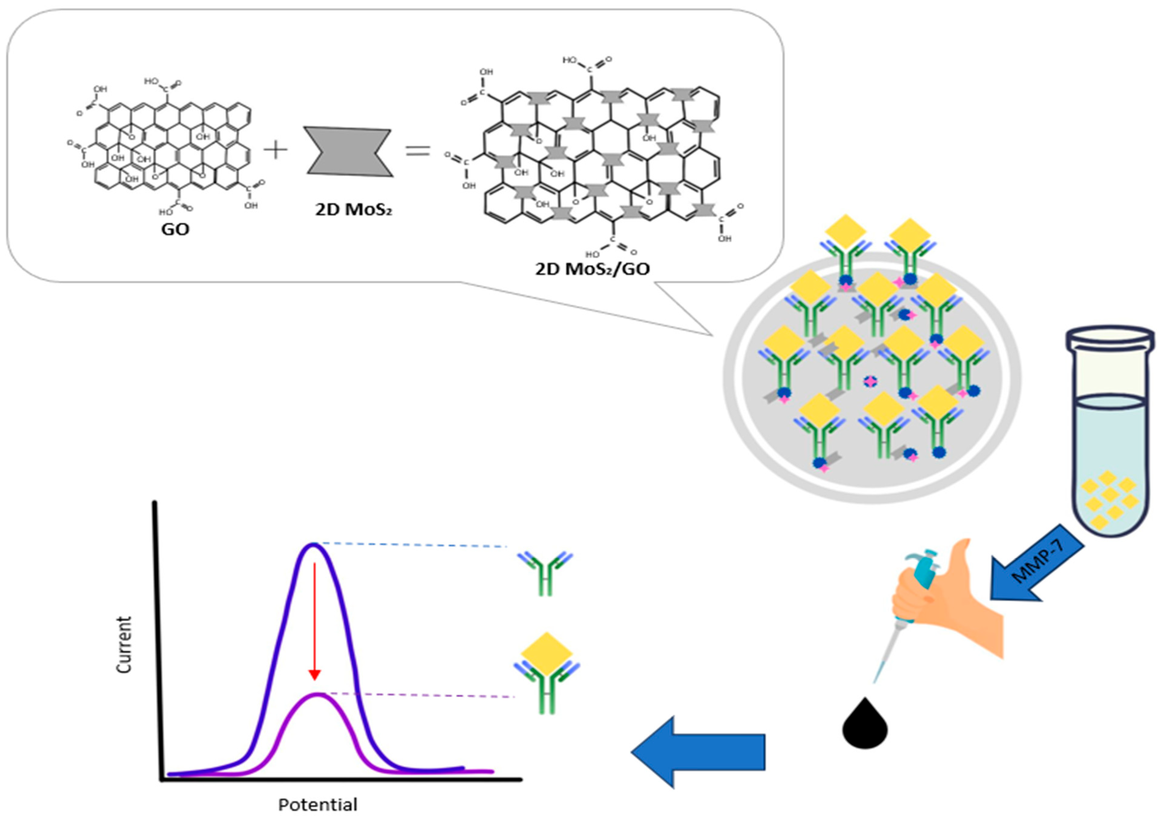 Biosensors 15 00603 g007