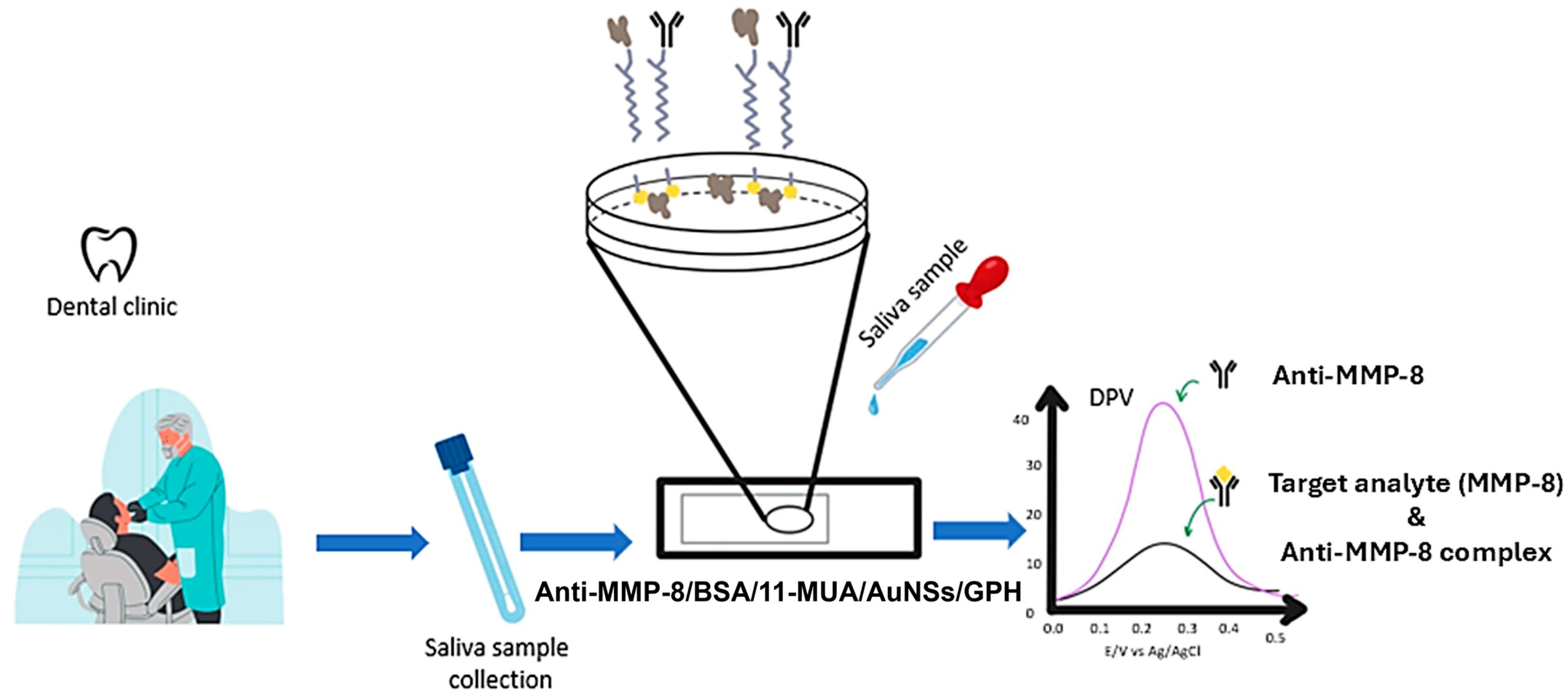 Biosensors 15 00603 g008