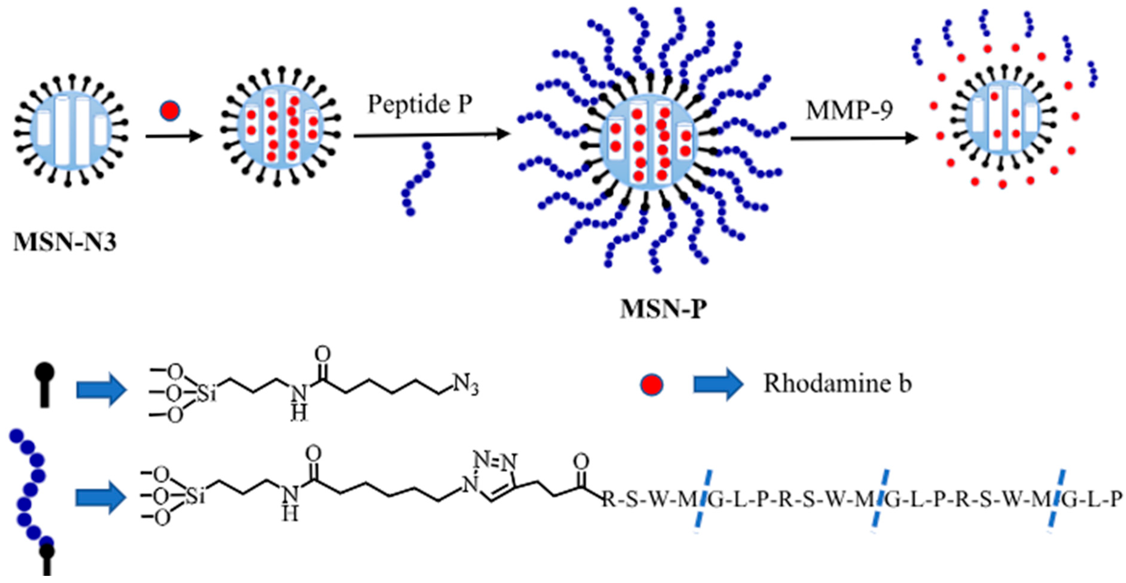 Biosensors 15 00603 g009