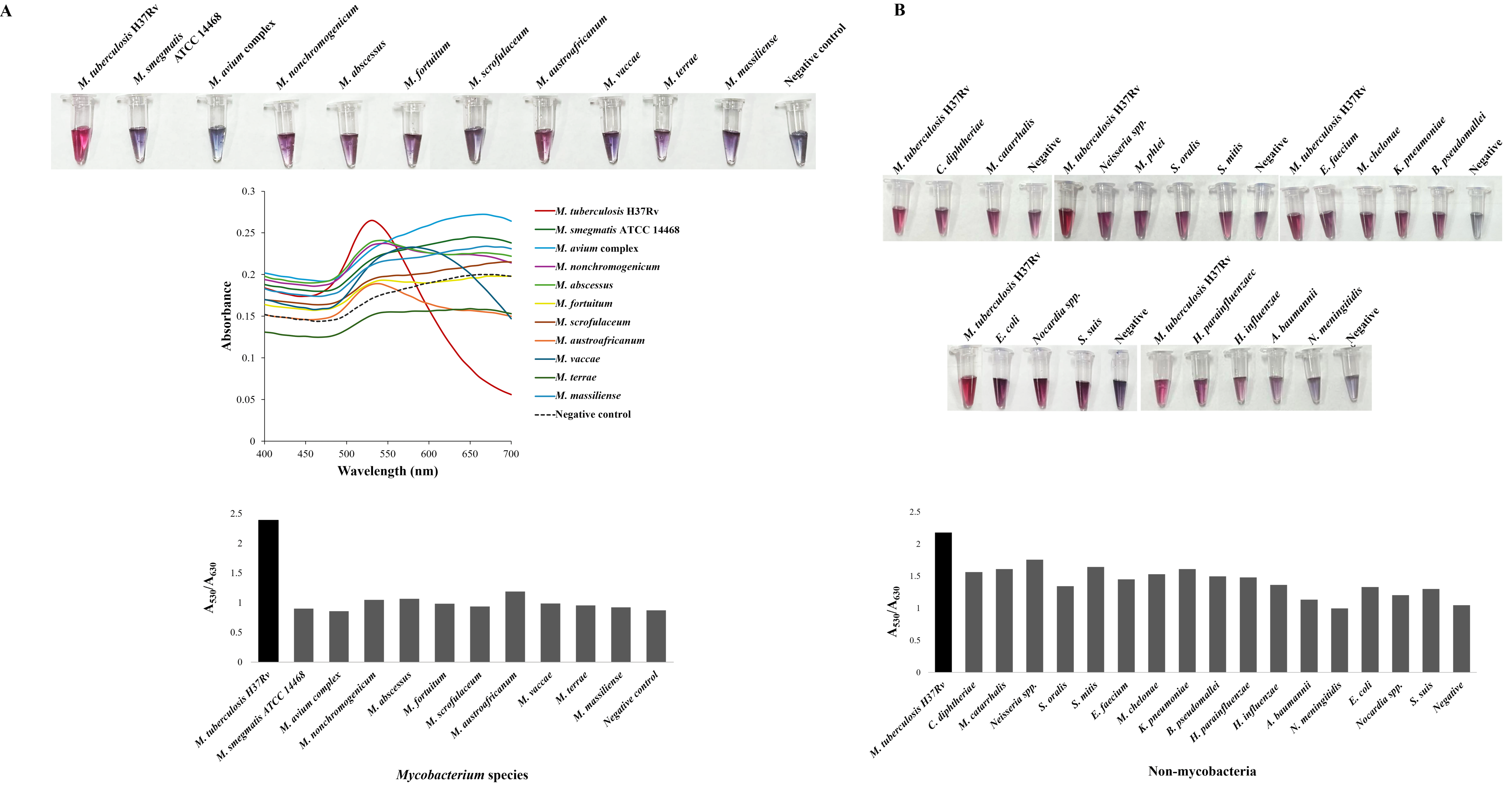 Biosensors 15 00607 g003 Biosensors 15 00607 g003
