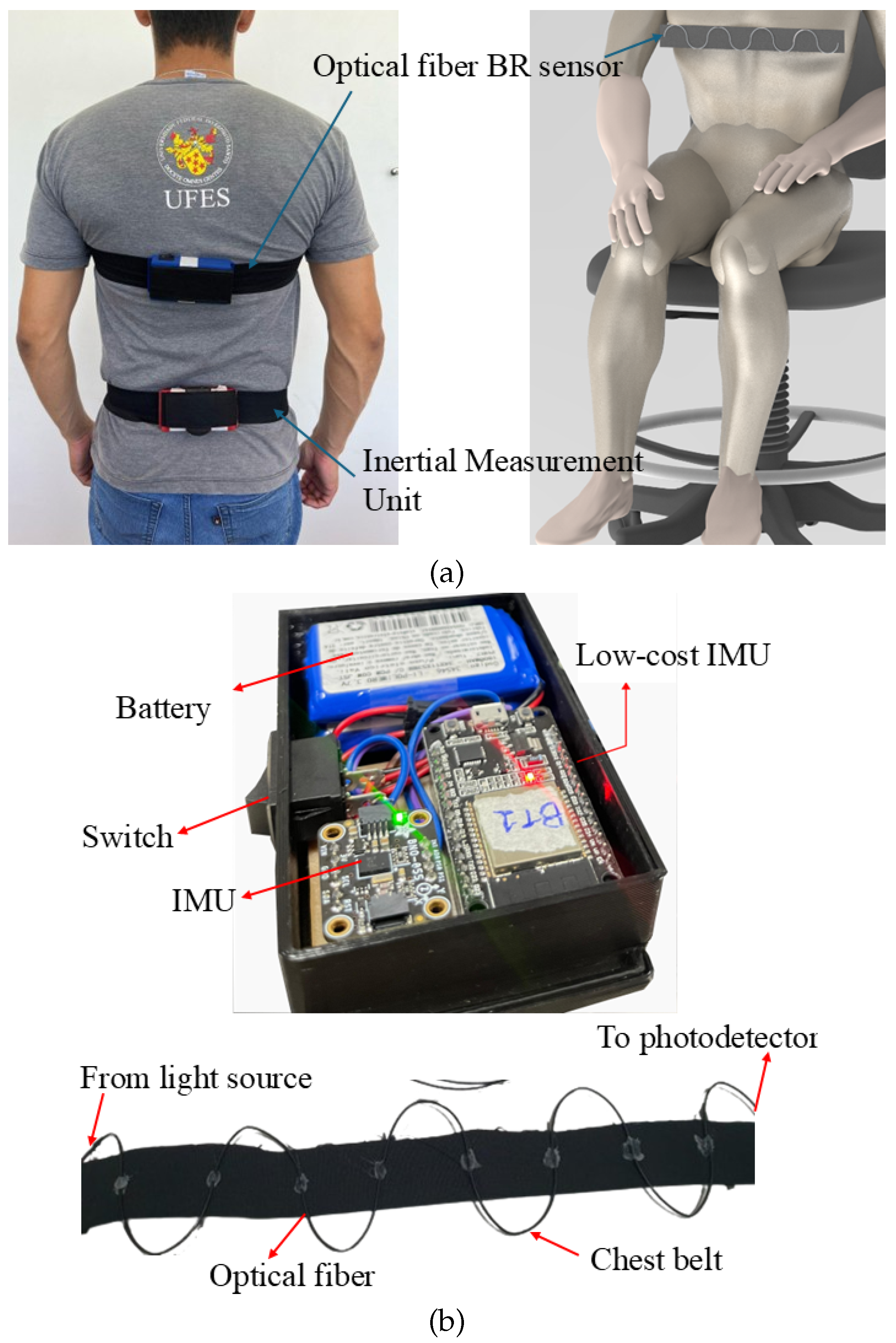 Biosensors 15 00612 g002
