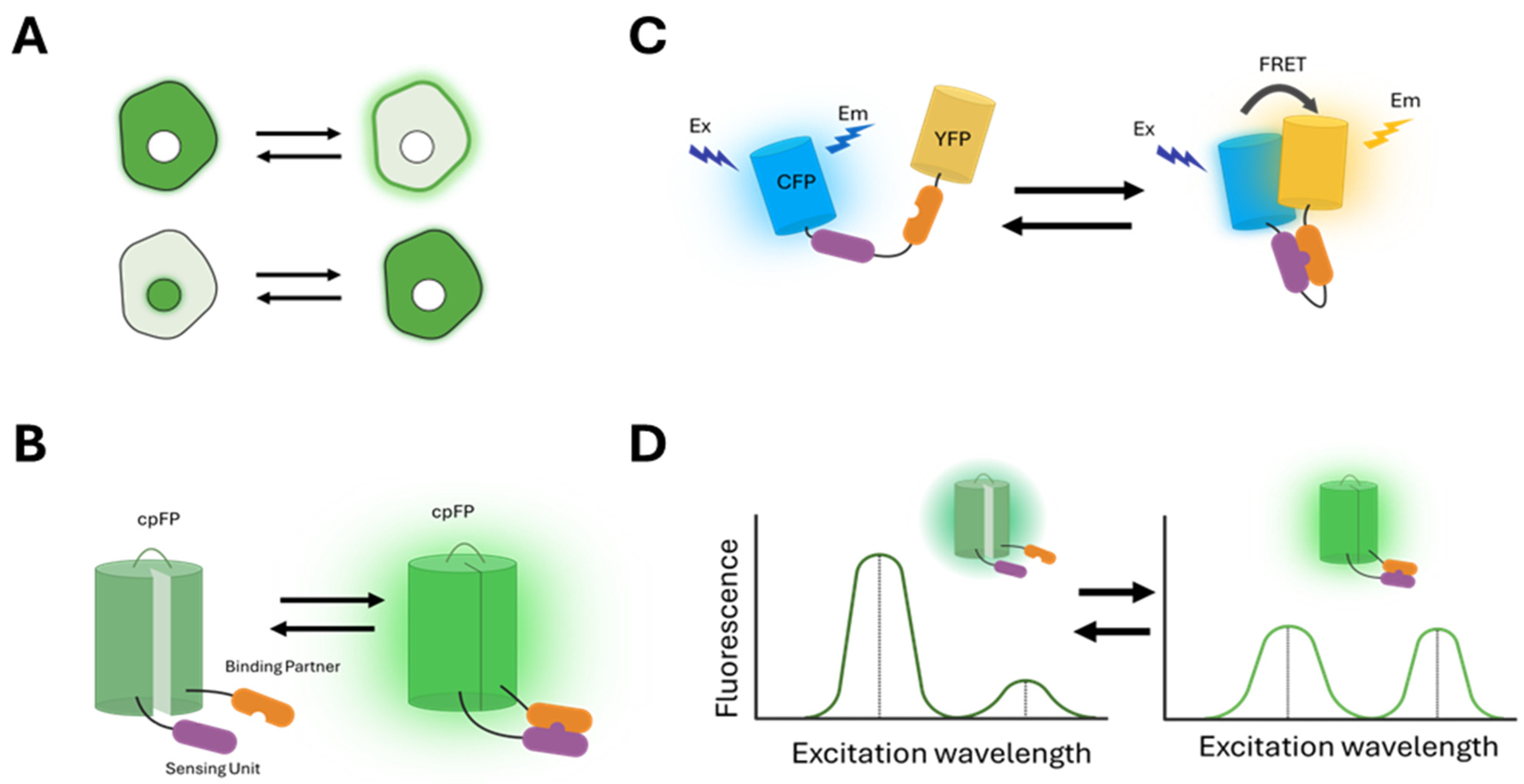 Biosensors 15 00614 g001 Biosensors 15 00614 g001