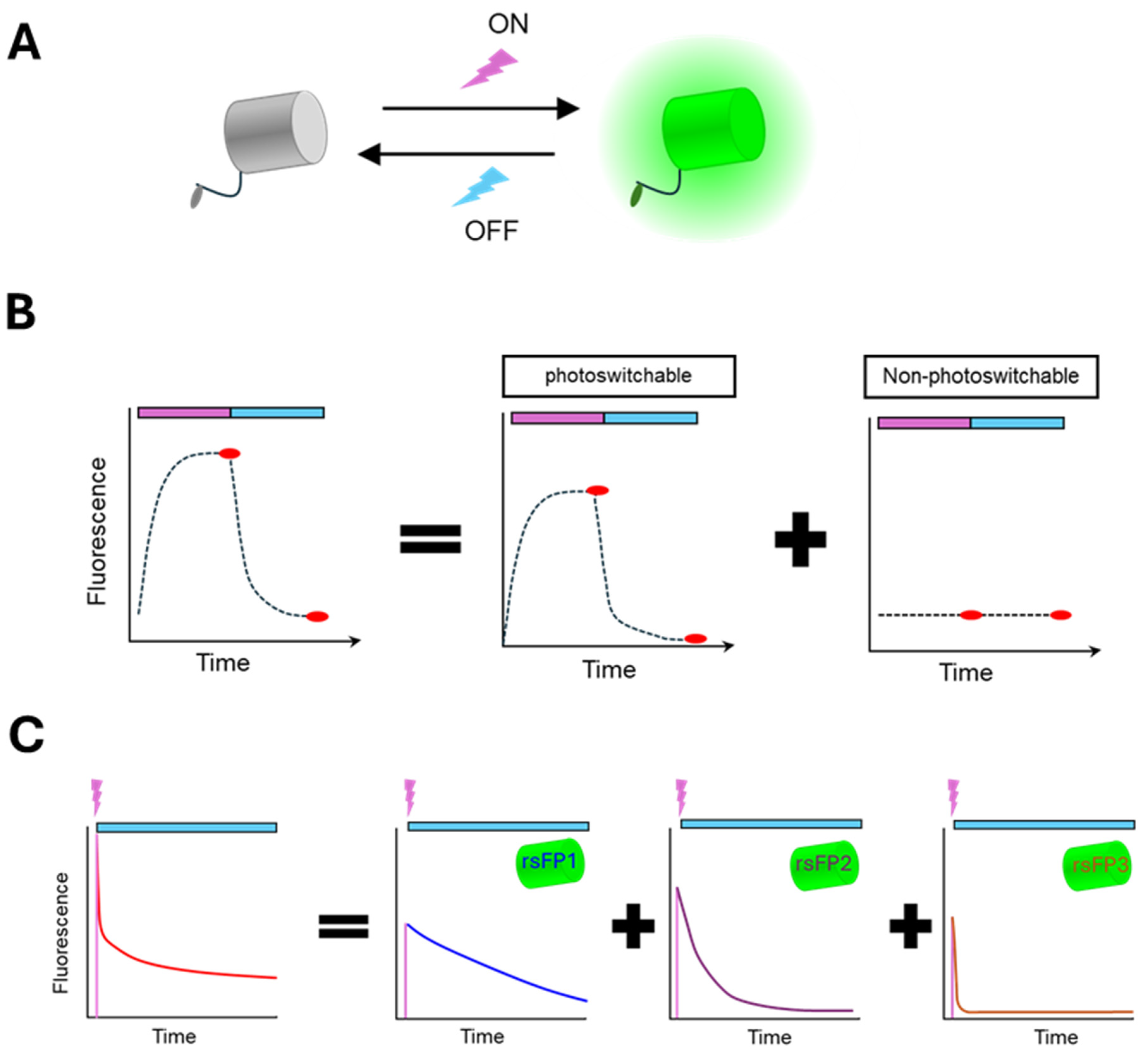 Biosensors 15 00614 g003 Biosensors 15 00614 g003