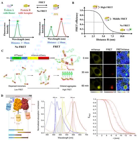 Biosensors 15 00624 g004