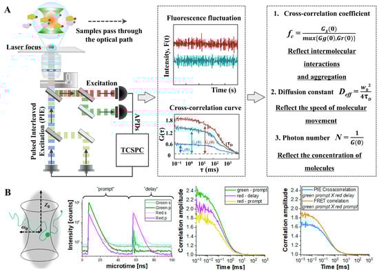 Biosensors 15 00624 g008