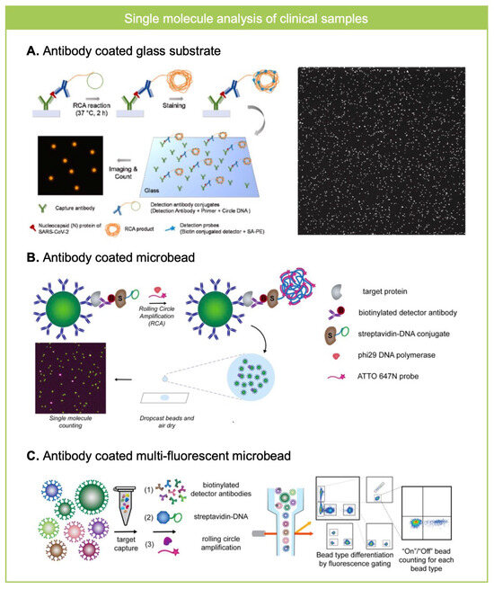 Biosensors 15 00628 g003