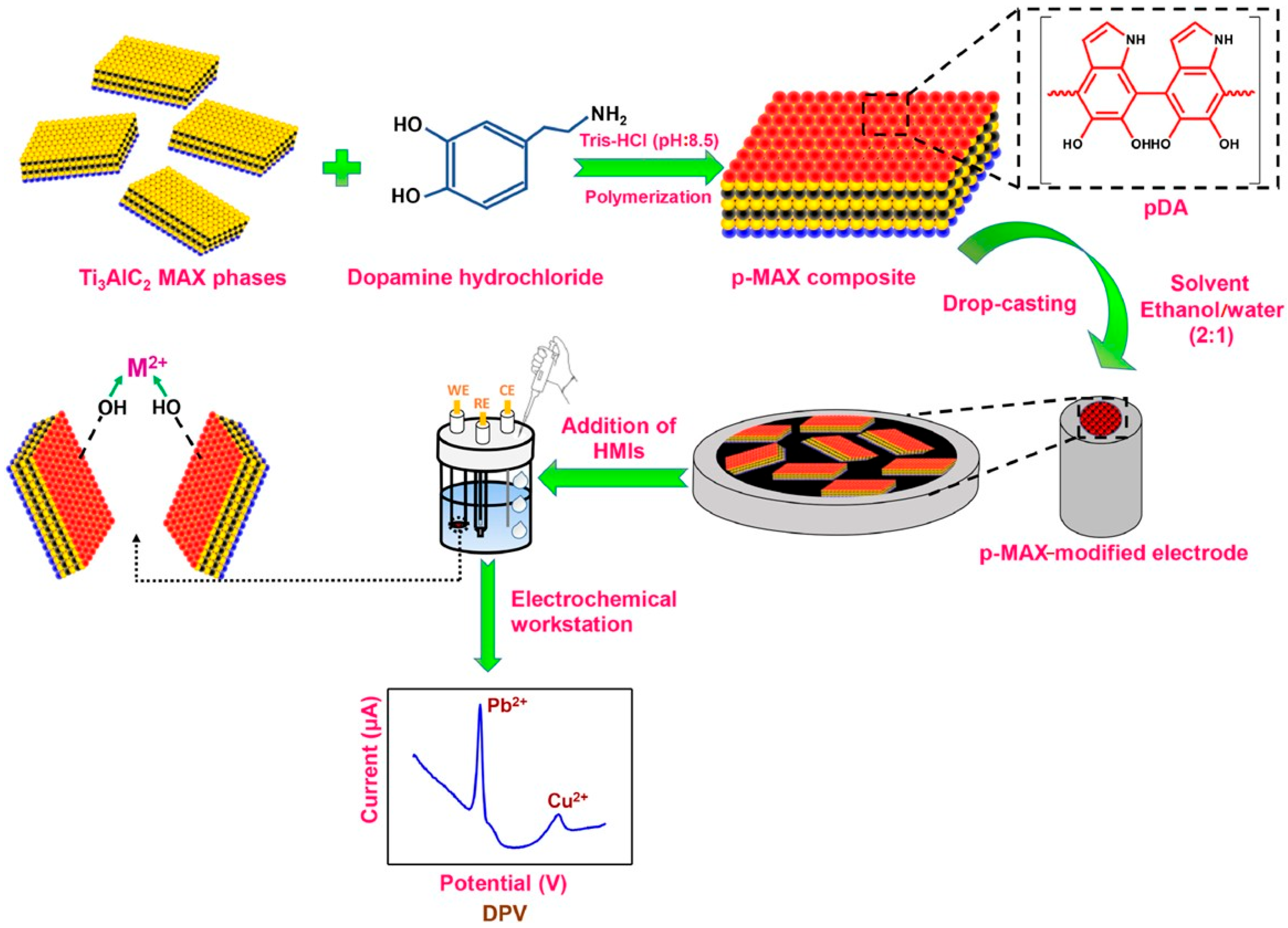 Biosensors 15 00631 g002