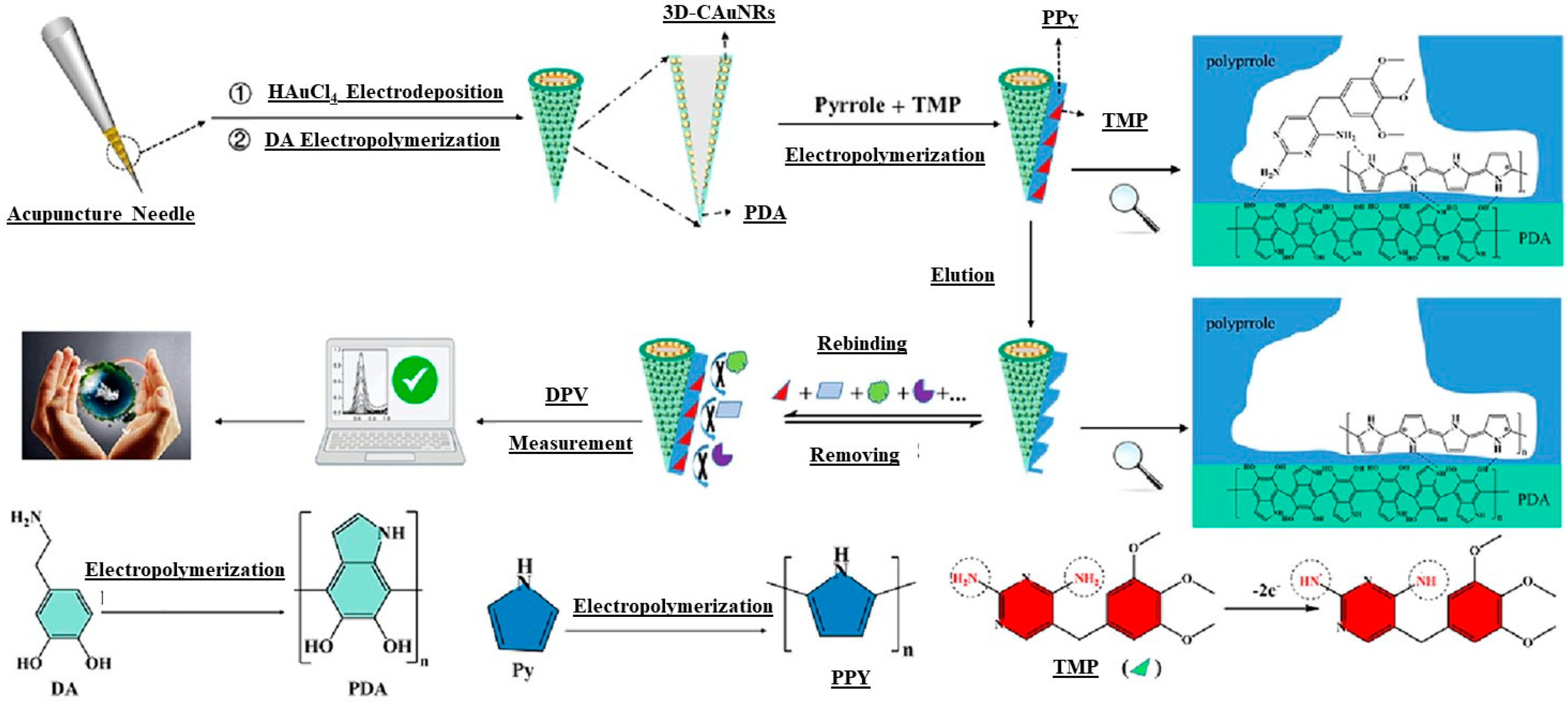 Biosensors 15 00631 g004