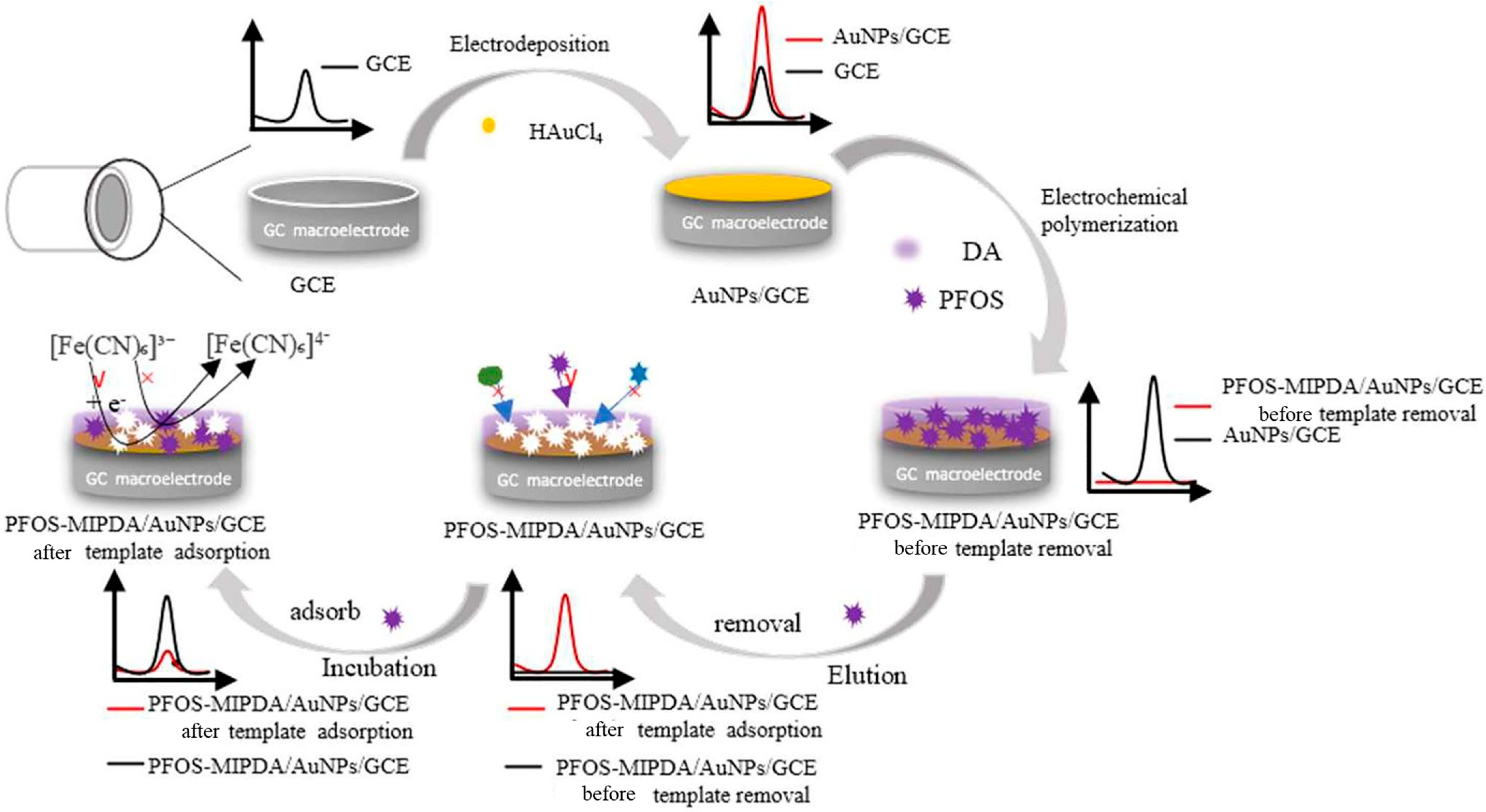 Biosensors 15 00631 g005