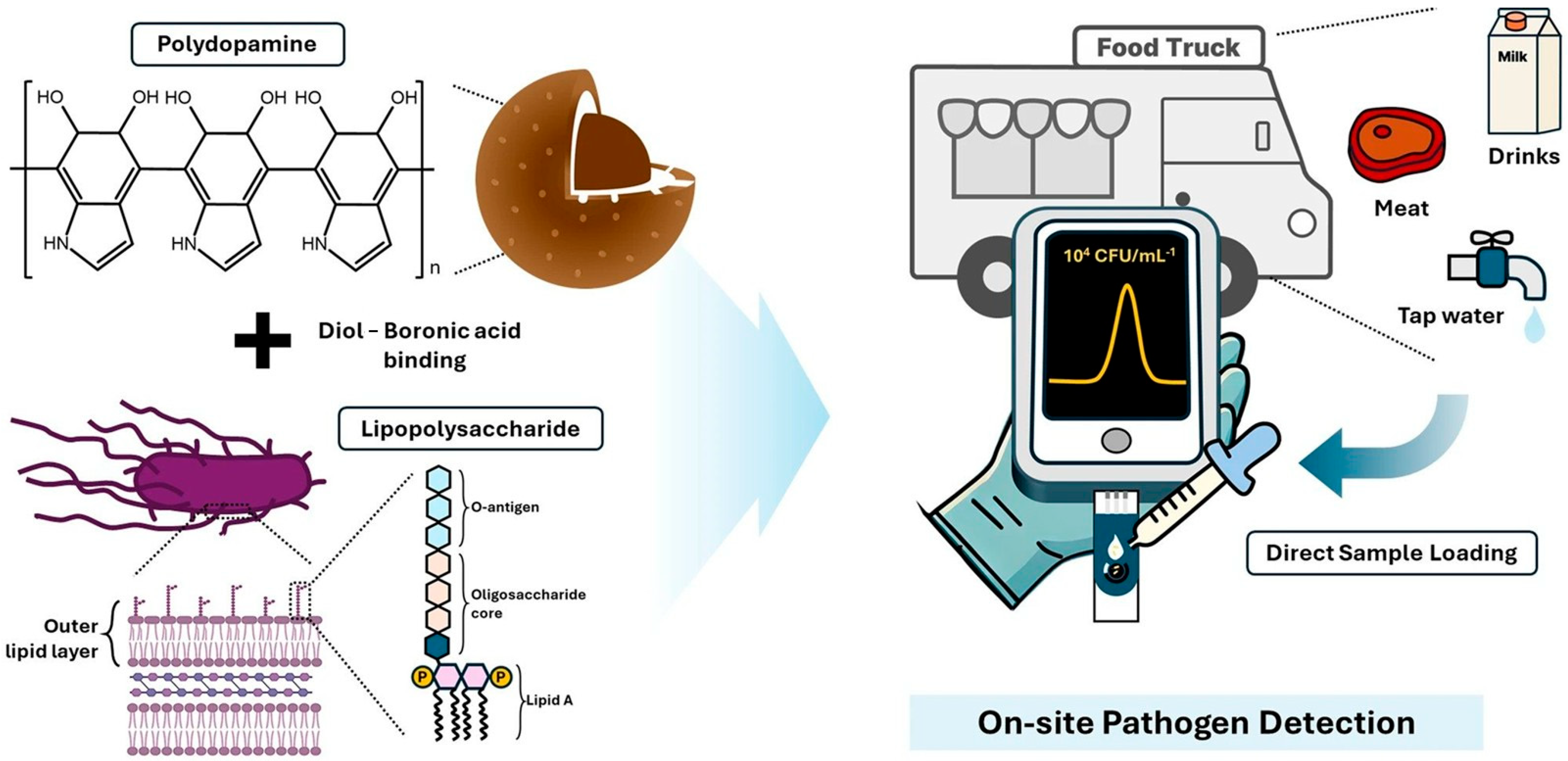 Biosensors 15 00631 g006