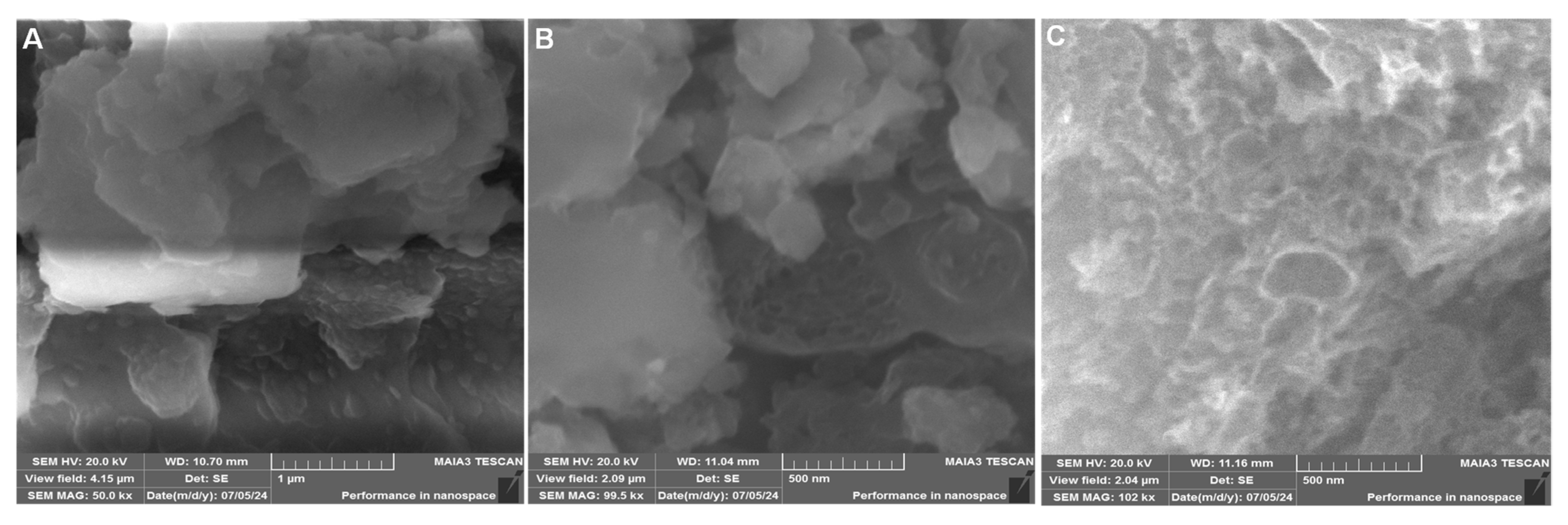 Biosensors 15 00634 g002