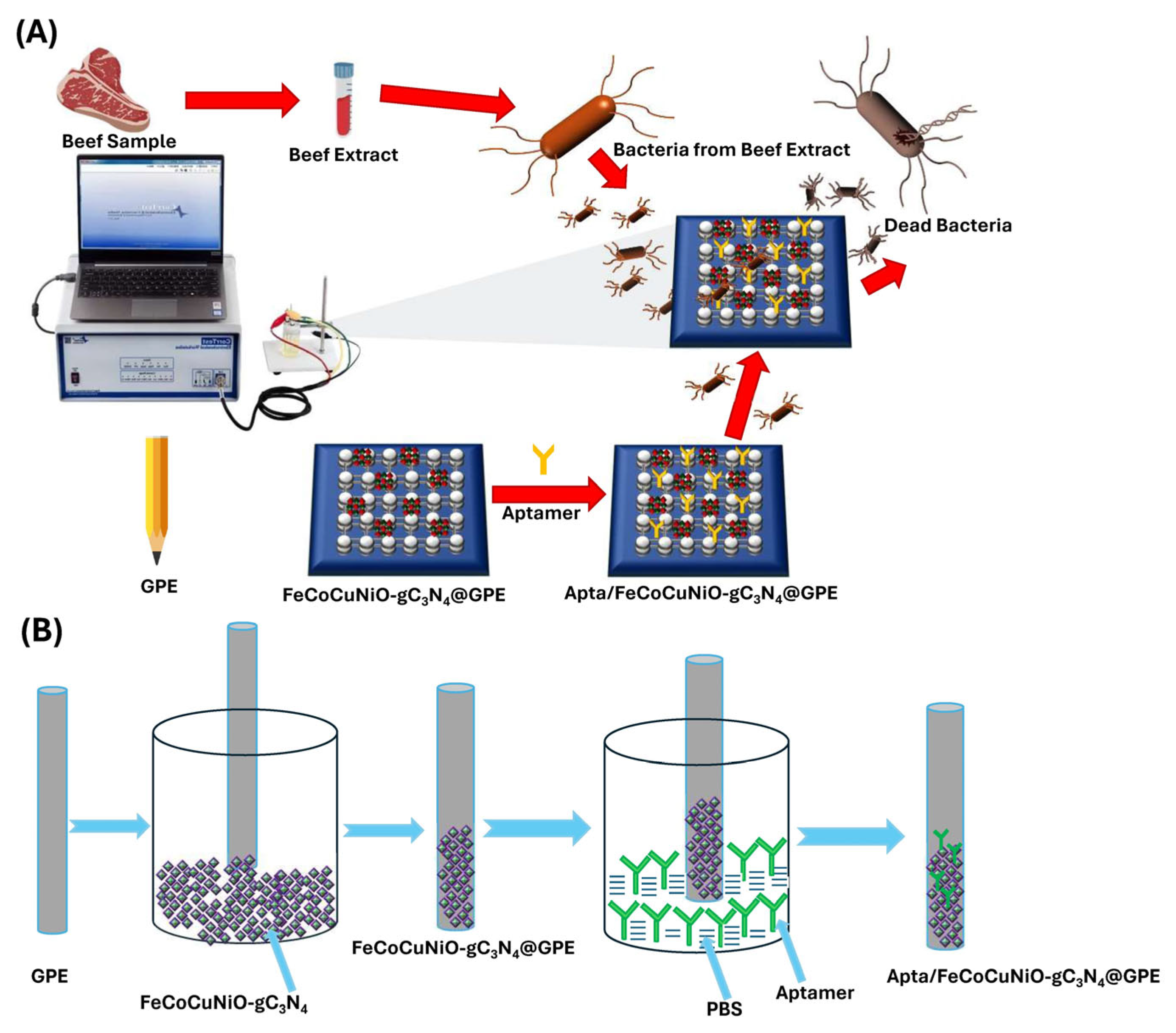 Biosensors 15 00634 sch001