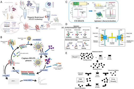 Biosensors 15 00637 g001