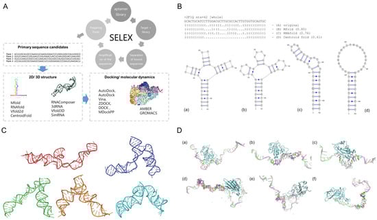 Biosensors 15 00637 g002