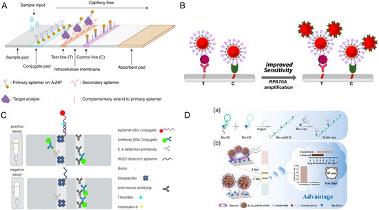 Biosensors 15 00637 g004