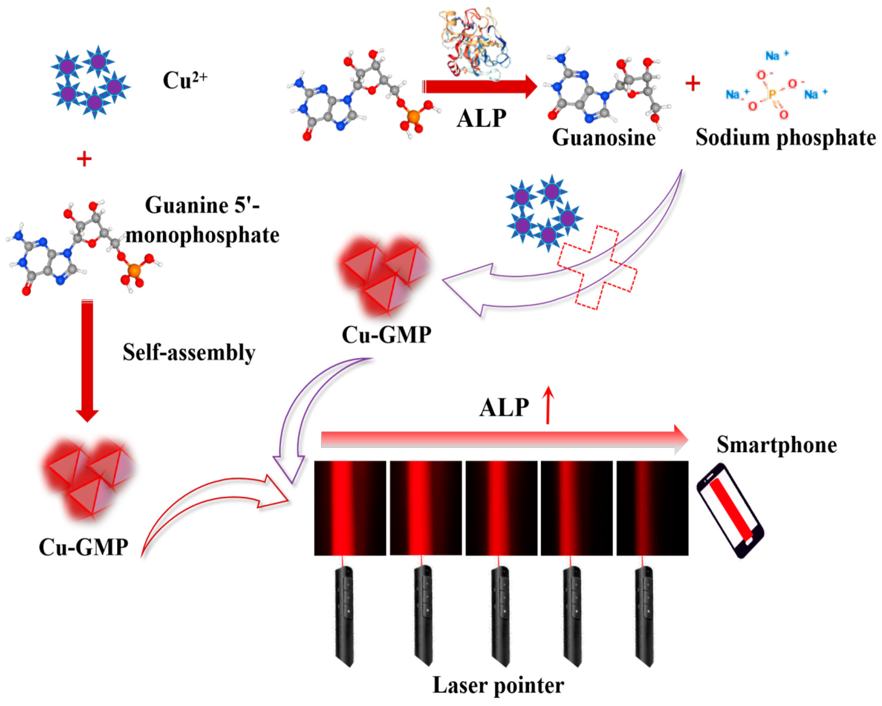 Biosensors 15 00650 g001