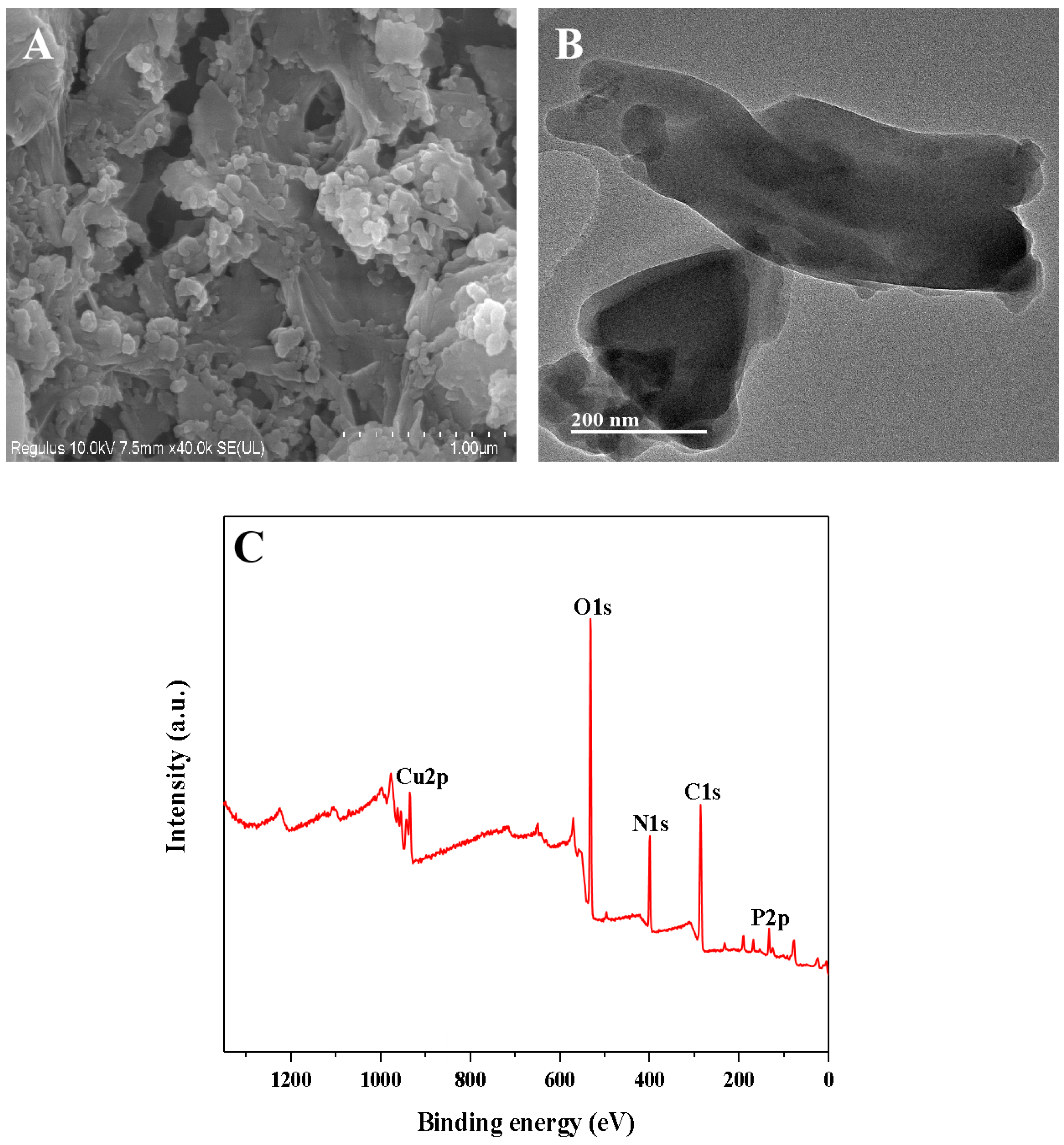 Biosensors 15 00650 g002