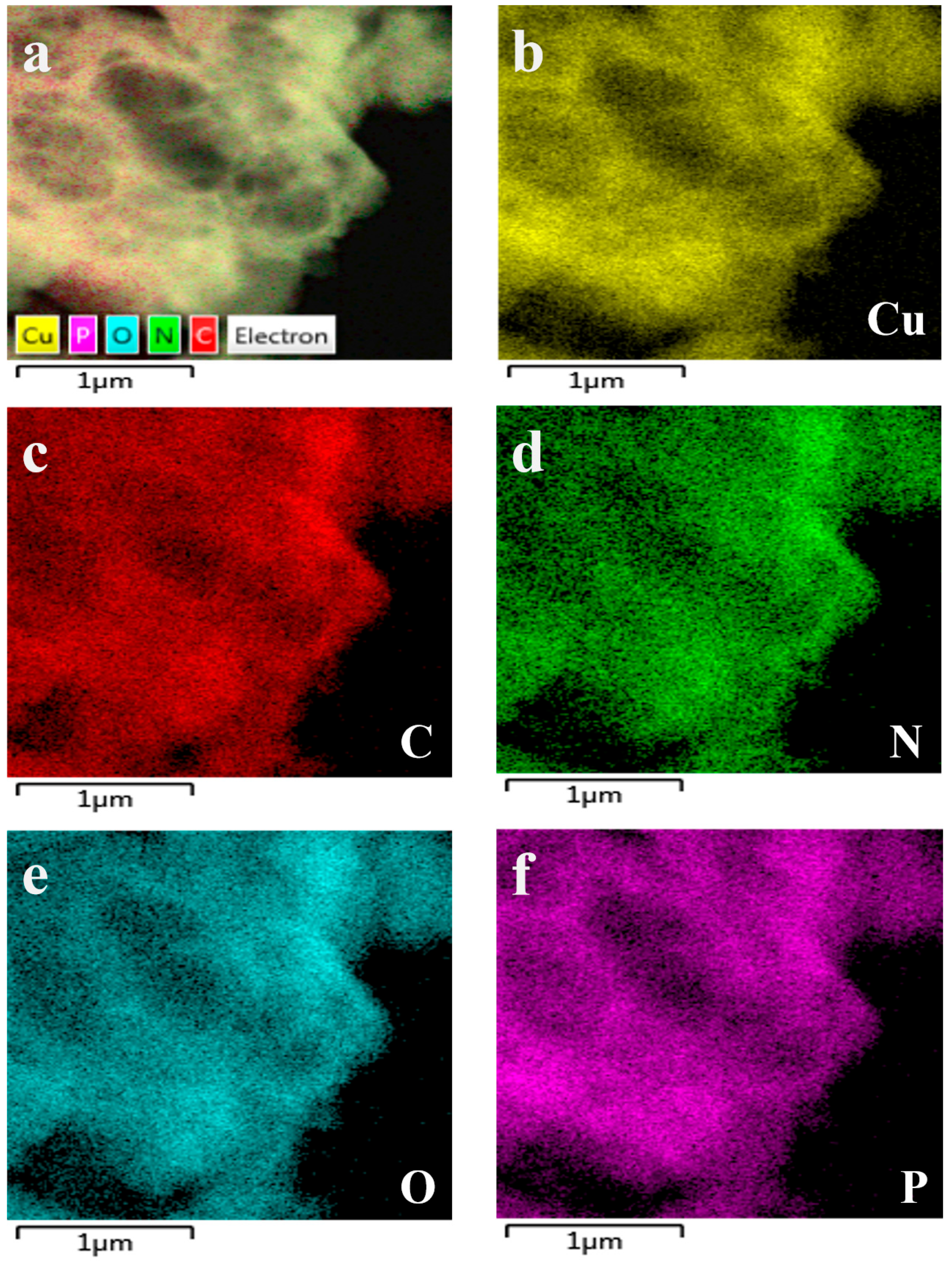 Biosensors 15 00650 g003