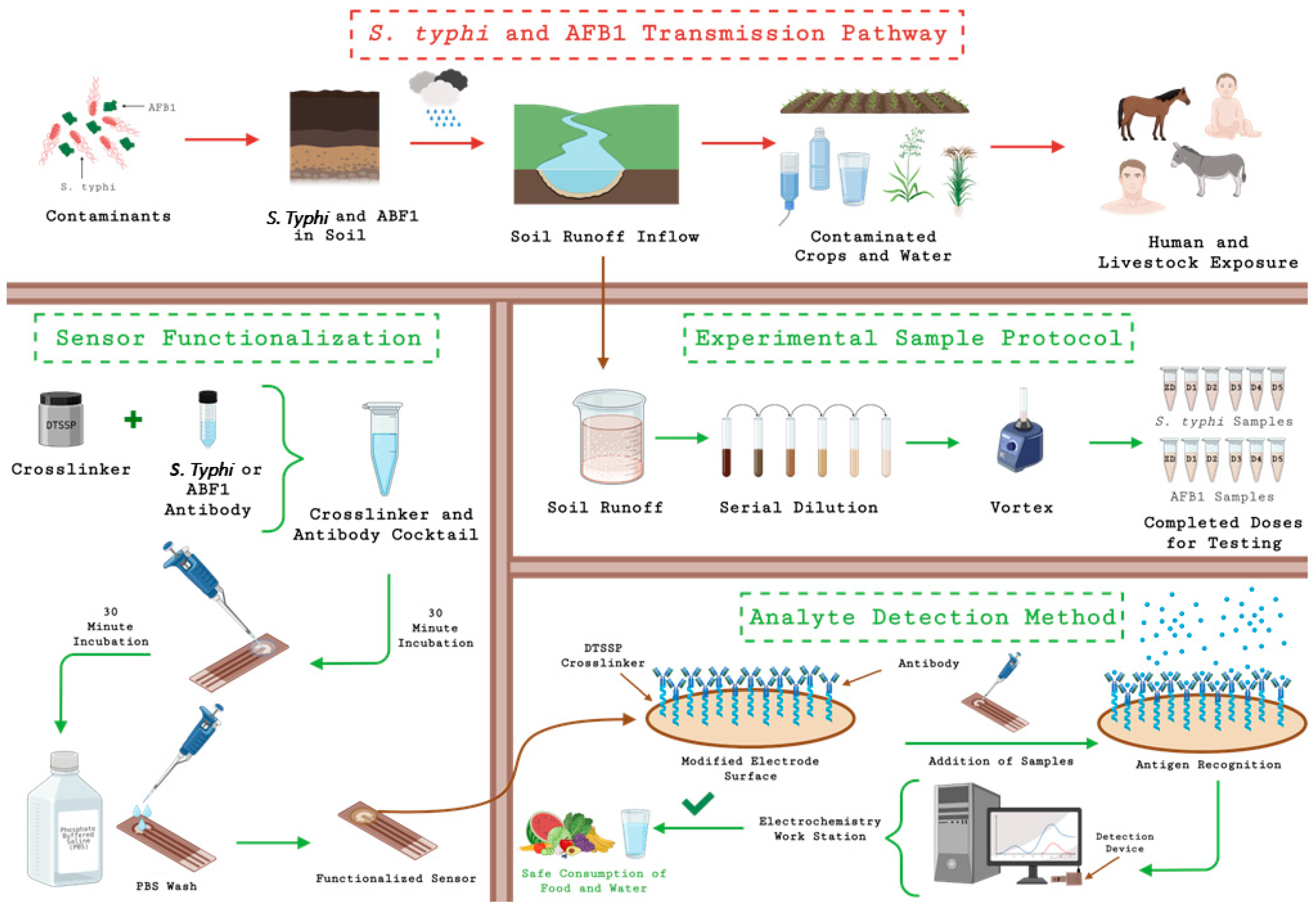 Biosensors 15 00654 g001