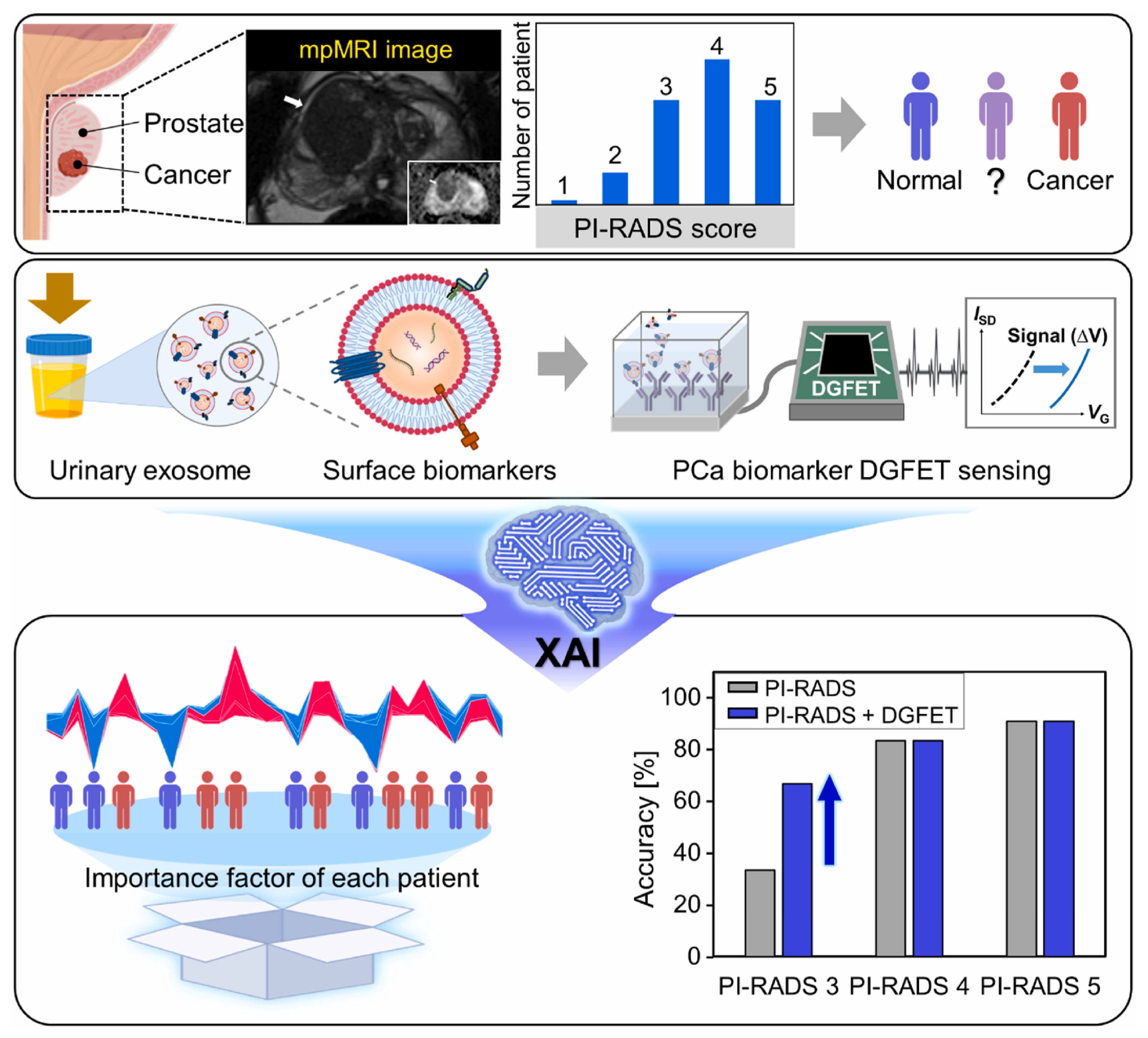 Biosensors 15 00656 g003 Biosensors 15 00656 g003