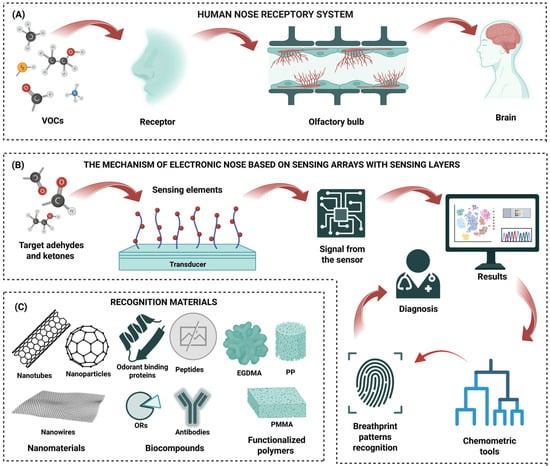 Biosensors 15 00668 g004