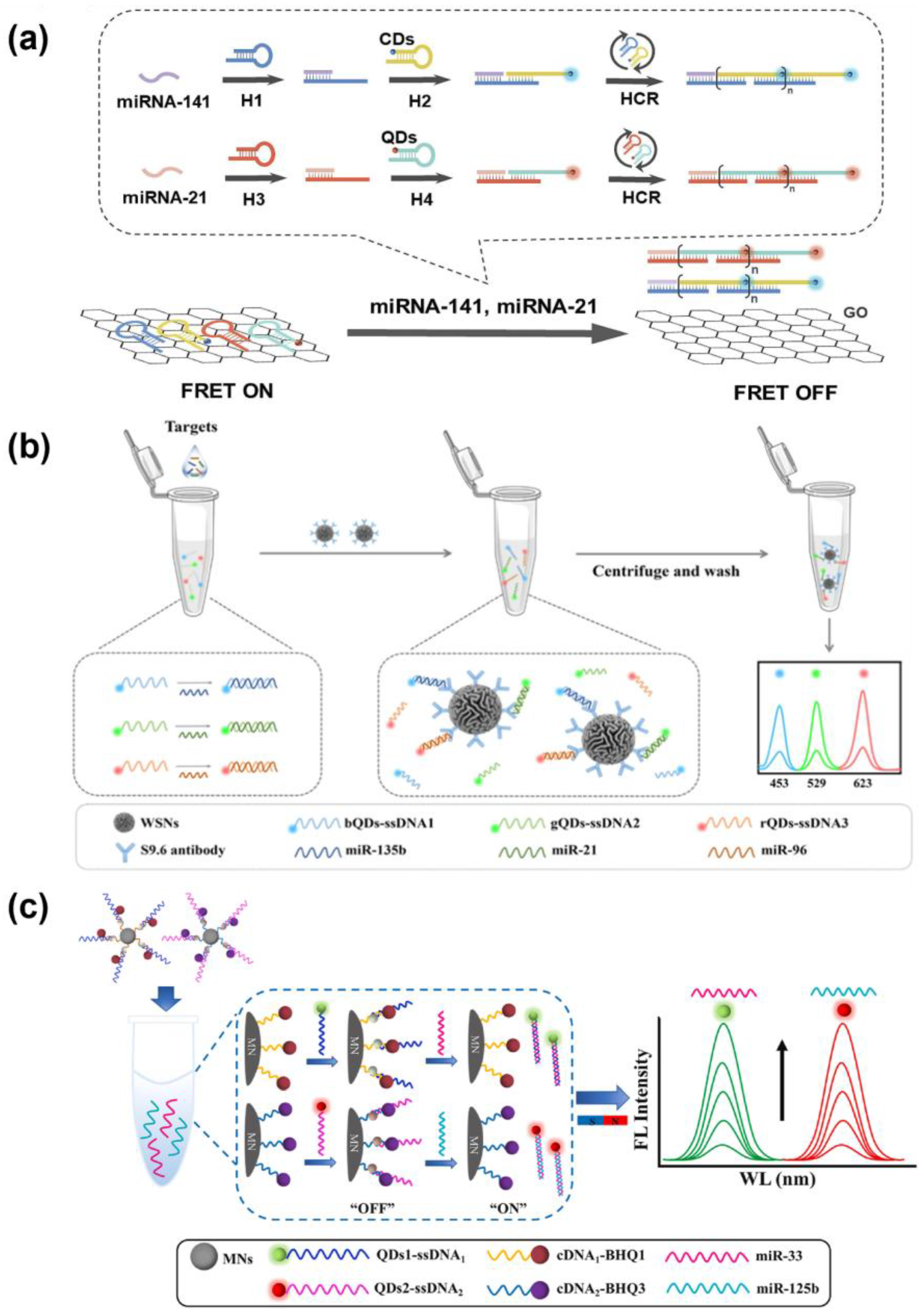 Biosensors 15 00682 g002