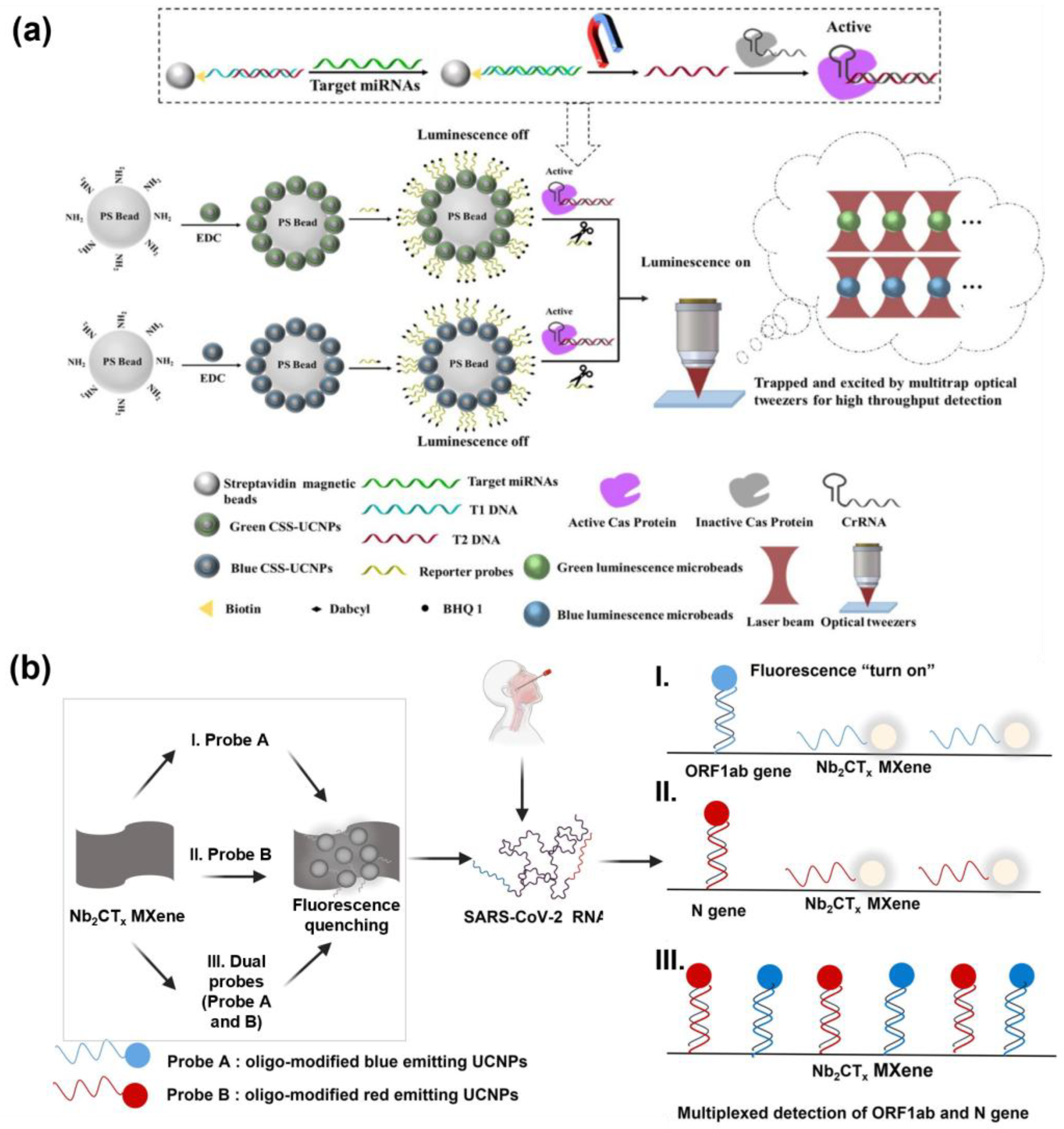 Biosensors 15 00682 g003