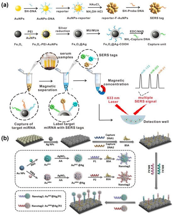 Biosensors 15 00682 g005