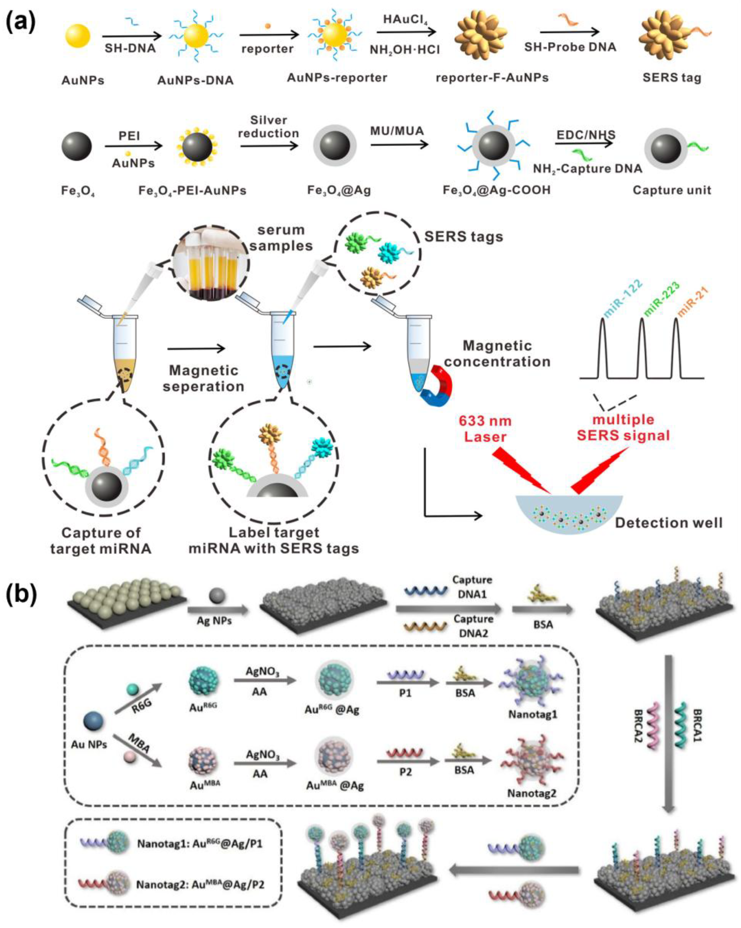 Biosensors 15 00682 g005