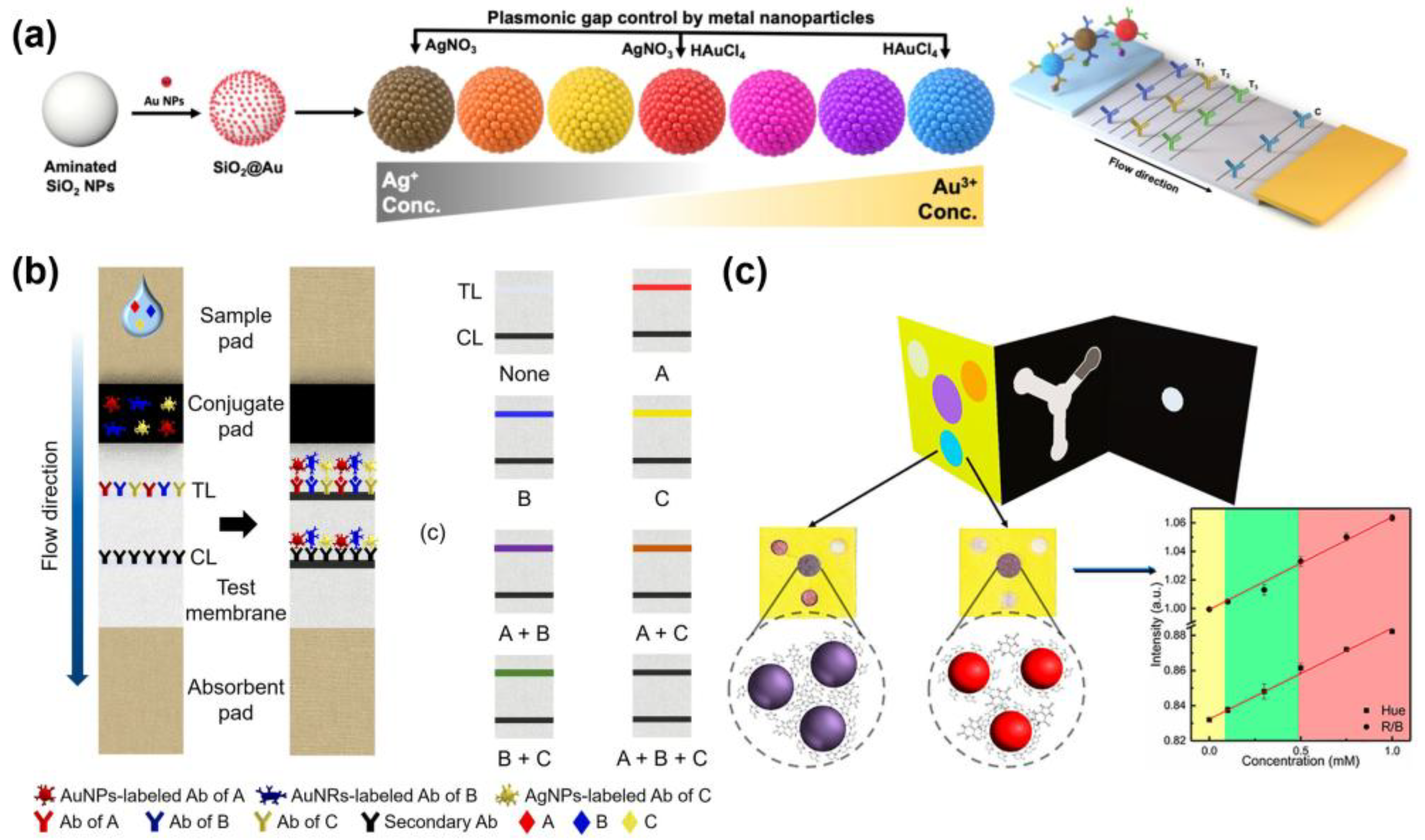 Biosensors 15 00682 g006