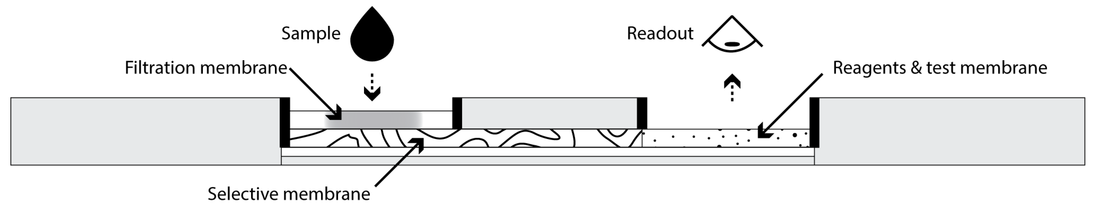 Biosensors 15 00685 g001