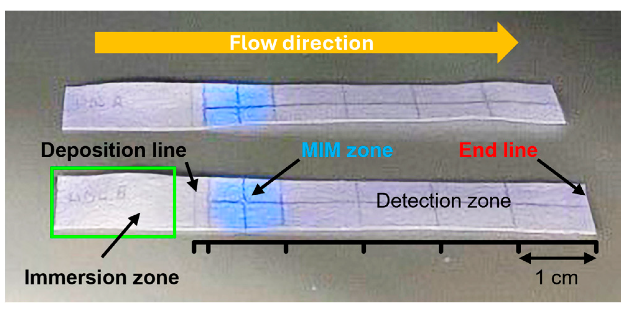 Biosensors 15 00685 g005