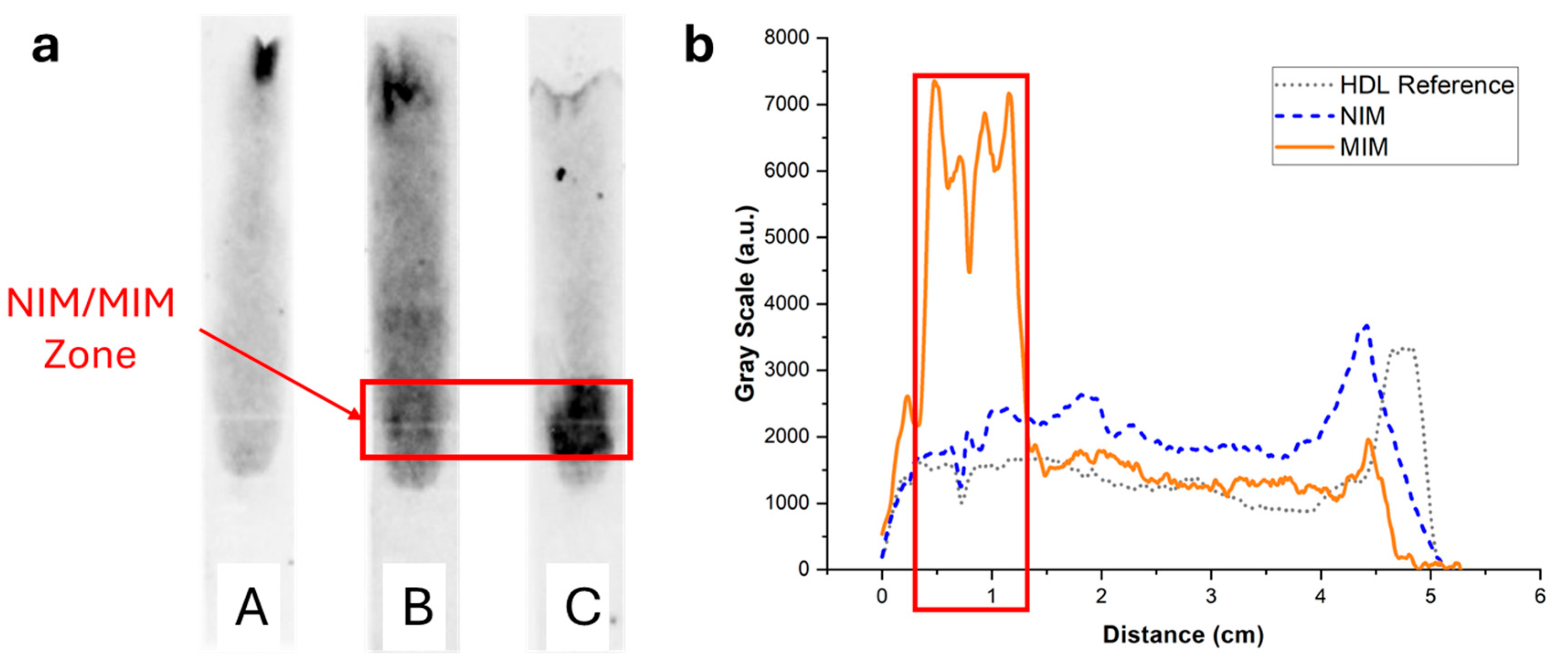 Biosensors 15 00685 g006